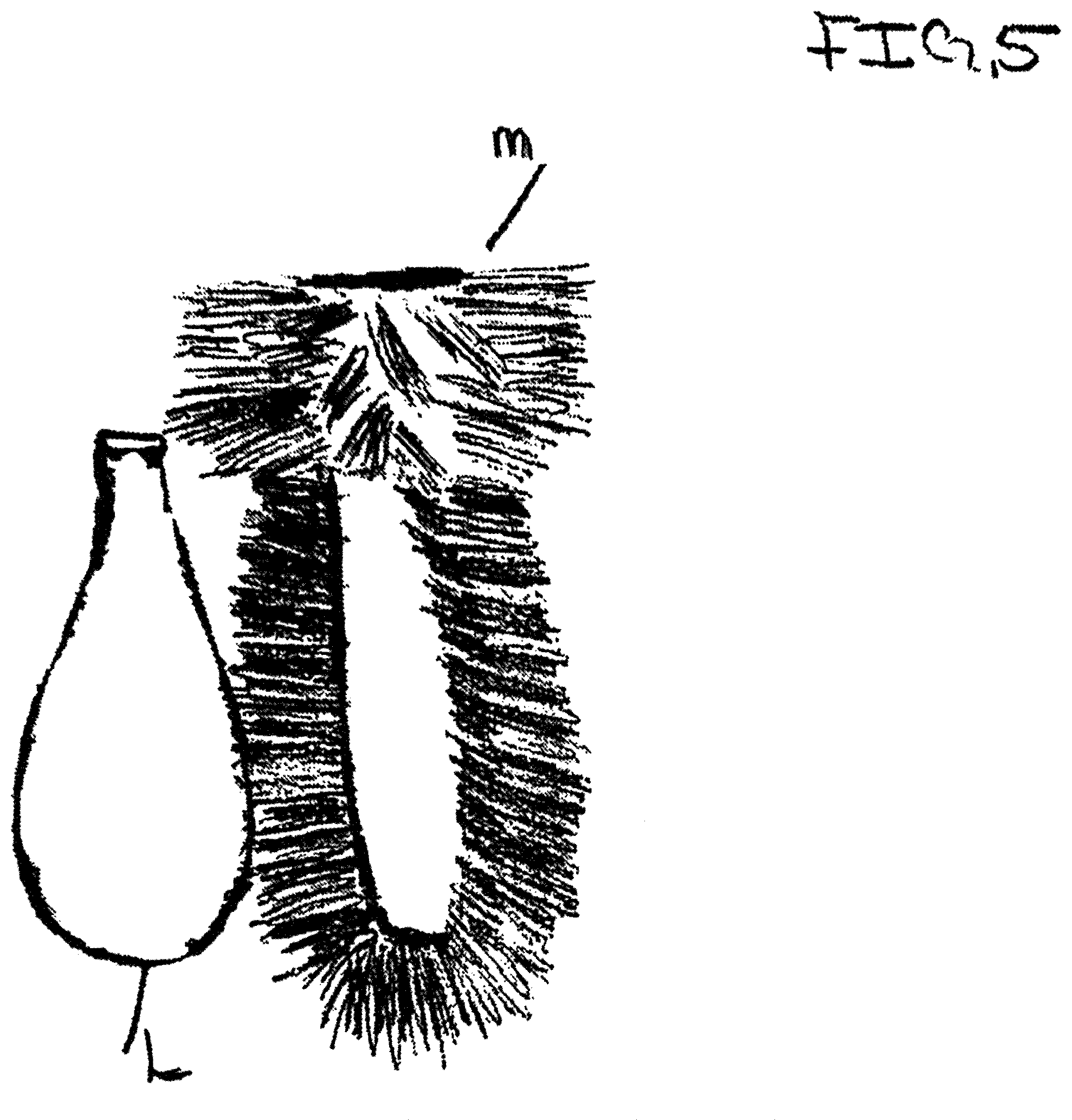 Patent US12137799 Figure 5 – Brush easy