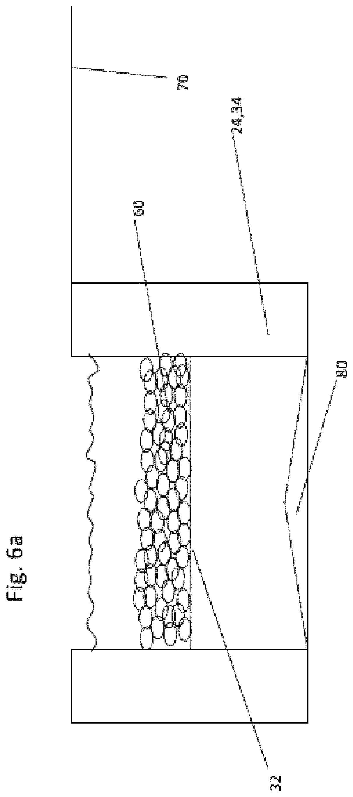 Patent US12137863 Figure 6 – Shoe or boot sole cleaning device and shoe or boot sole cleaning kit comprising the shoe or boot sole cleaning device