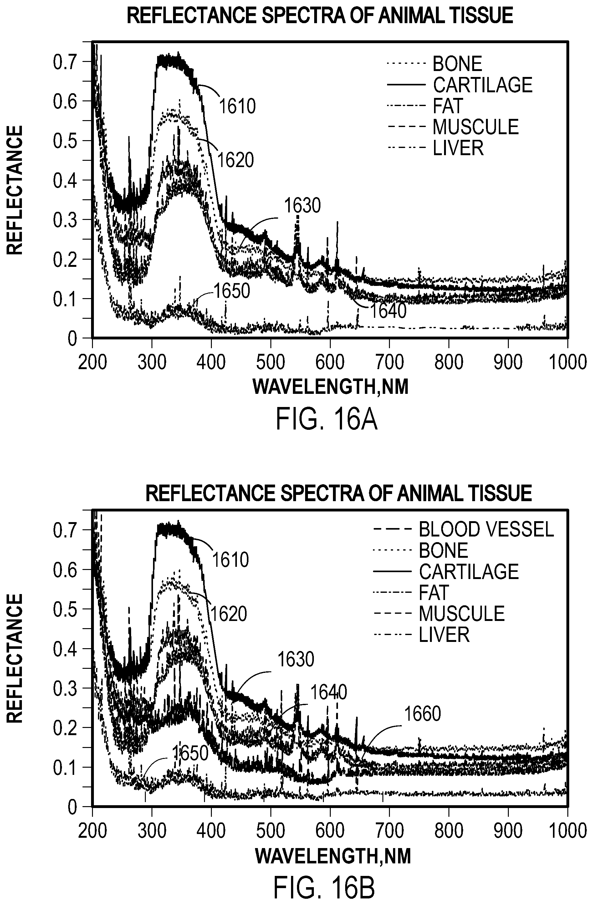 Patent US12137878 Figure 19 – Multi-fiber medical optical system