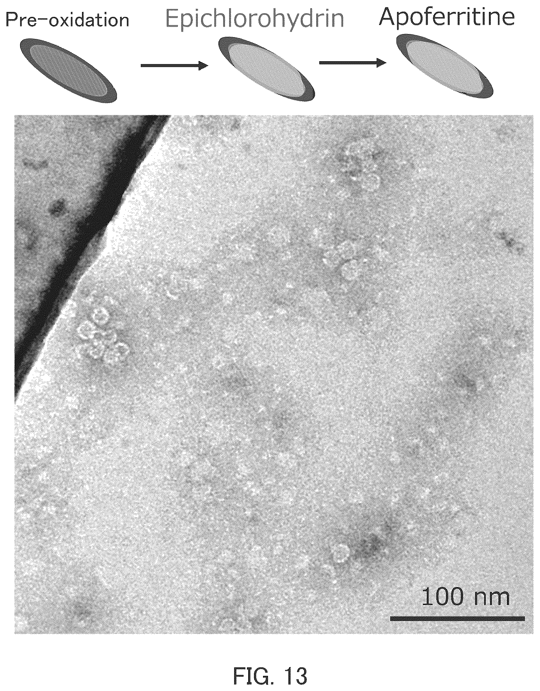 Patent US12139406 Figure 9 – Method for producing substance with modified carbon allotrope surface, method for producing substance with carbon allotrope surface into which functional group is introduced, method for producing grid for cryo-electron microscopy, organic substance, and grid for cryo-electron microscopy