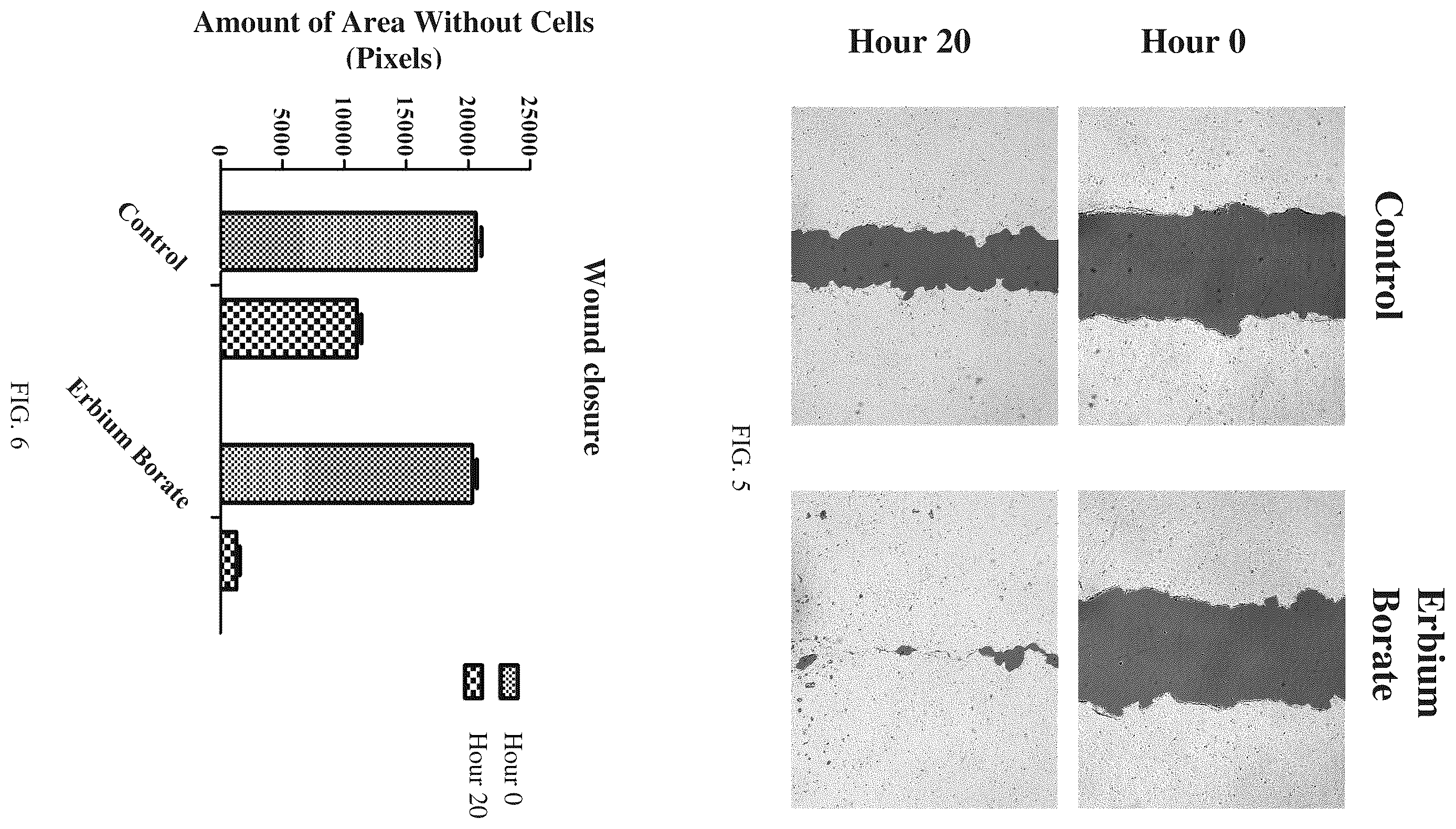 Patent US12139415 Figure 3 – Use of nano-sized lanthanide borate (dysprosium borate and erbium borate) compounds for wound healing purposes and production method thereof