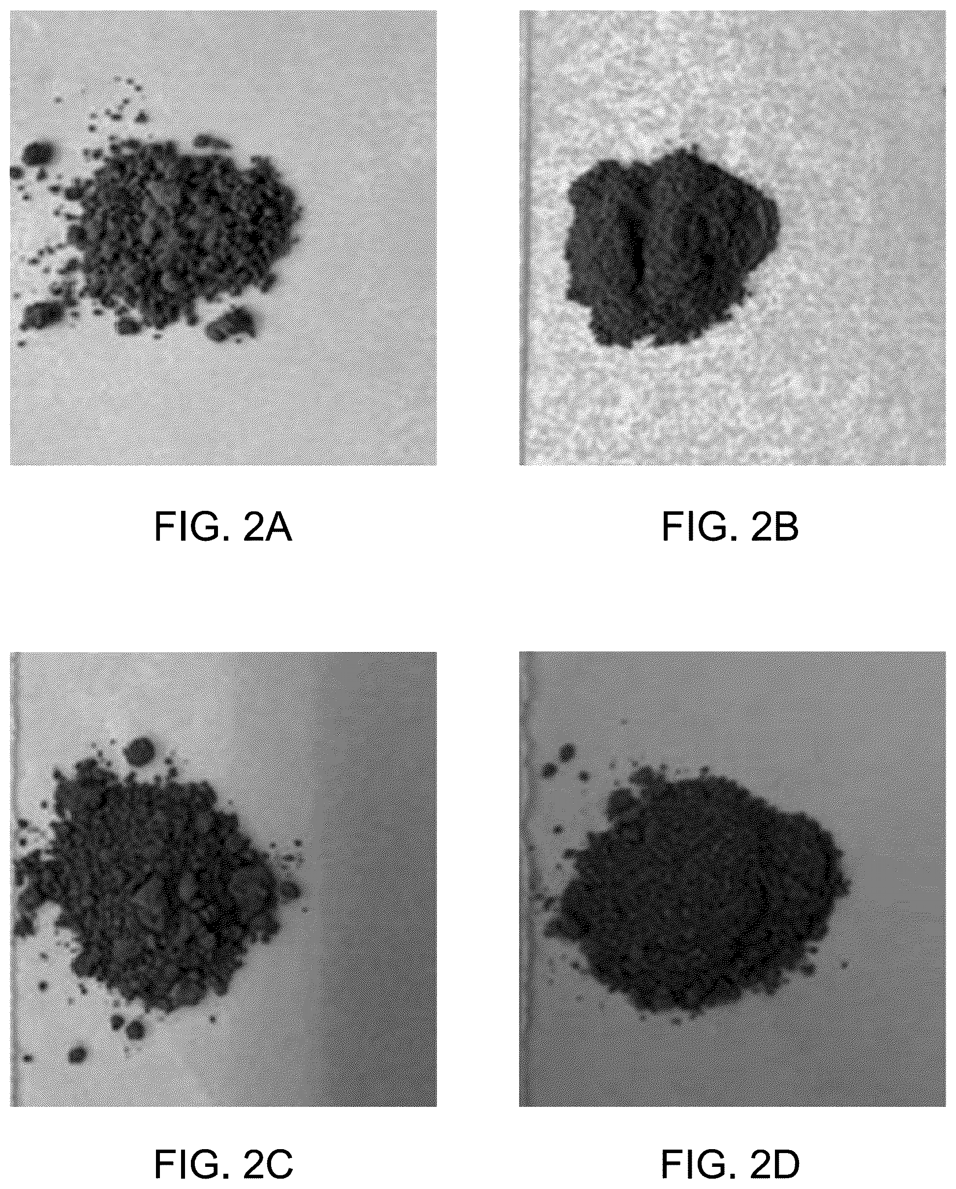 Patent US12139418 Figure 2 – Nanoparticle layer solar cell