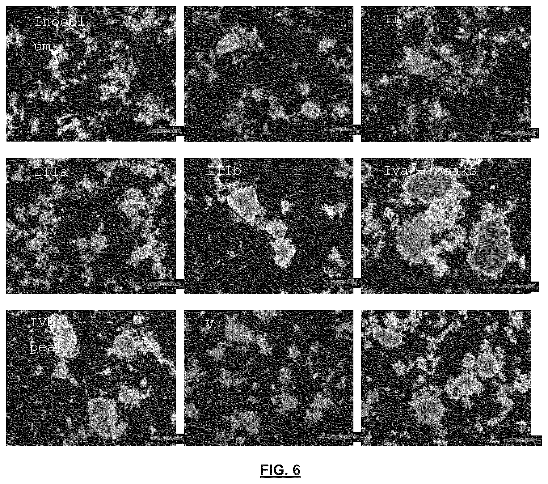Patent US12139427 Figure 6 – Treatment of wastewater by aerobic granular biomass in continuous flow
