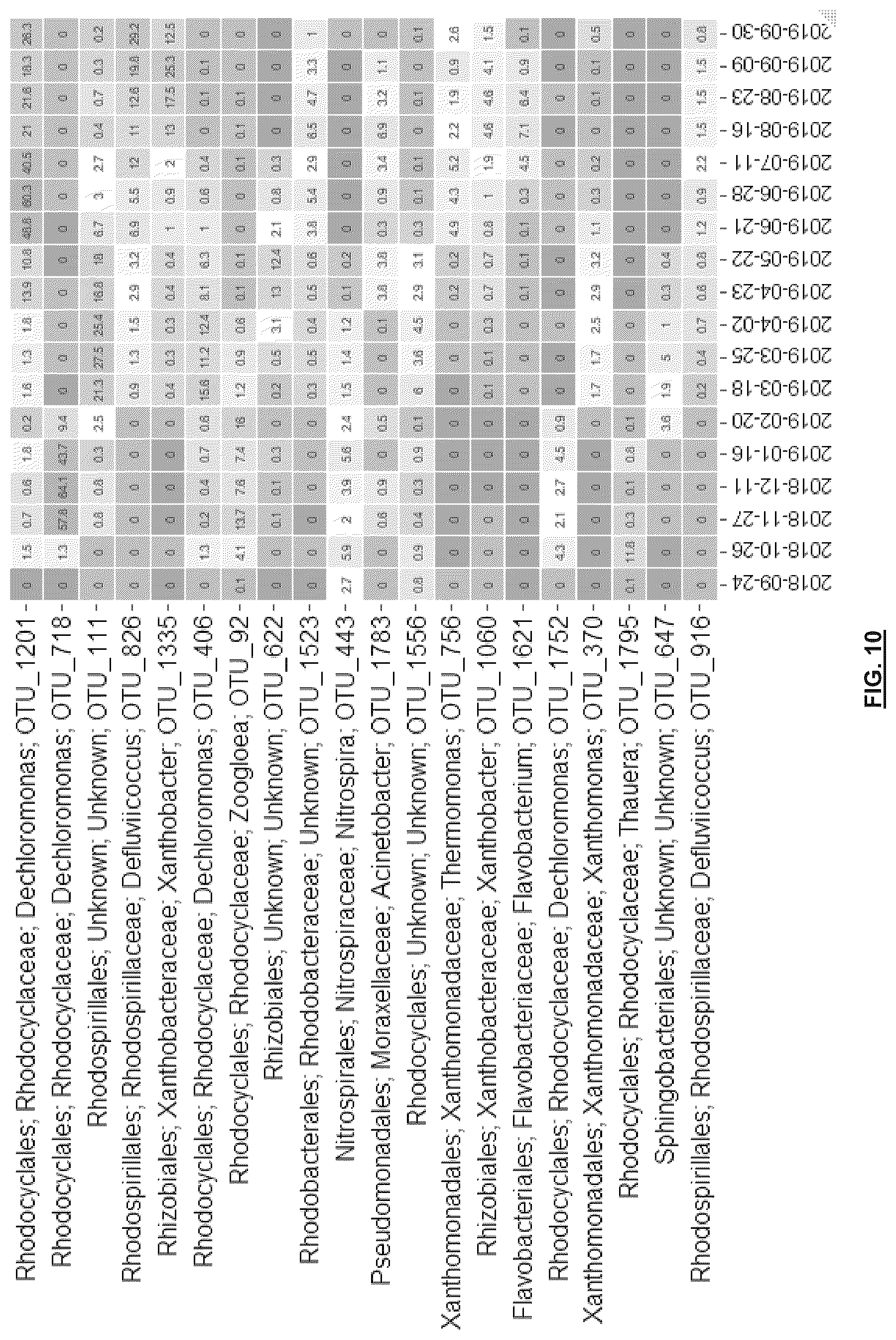 Patent US12139427 Figure 10 – Treatment of wastewater by aerobic granular biomass in continuous flow