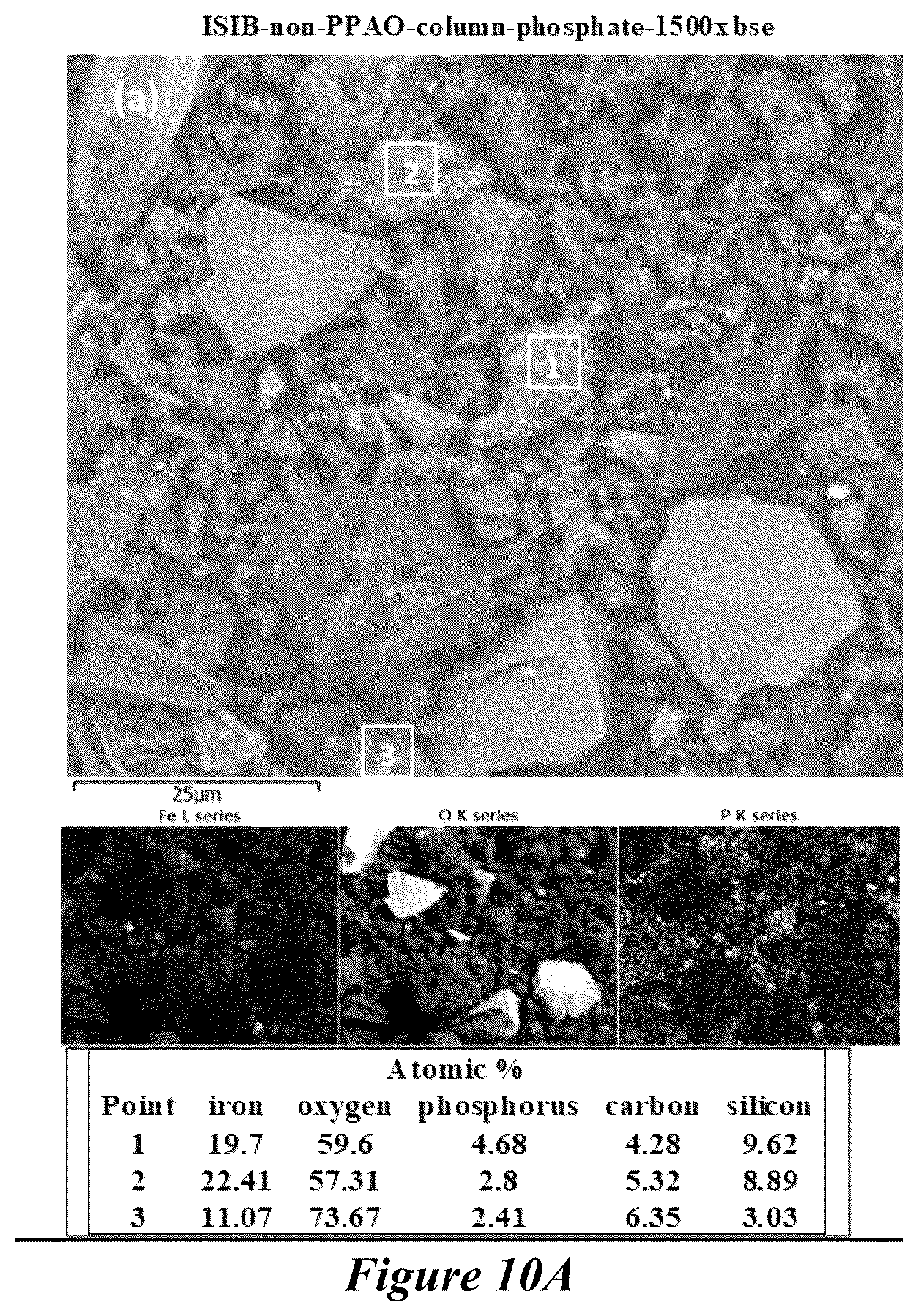 Patent US12139442 Figure 10 – Biochar product, its use in fertilizers, and methods of making the biochar