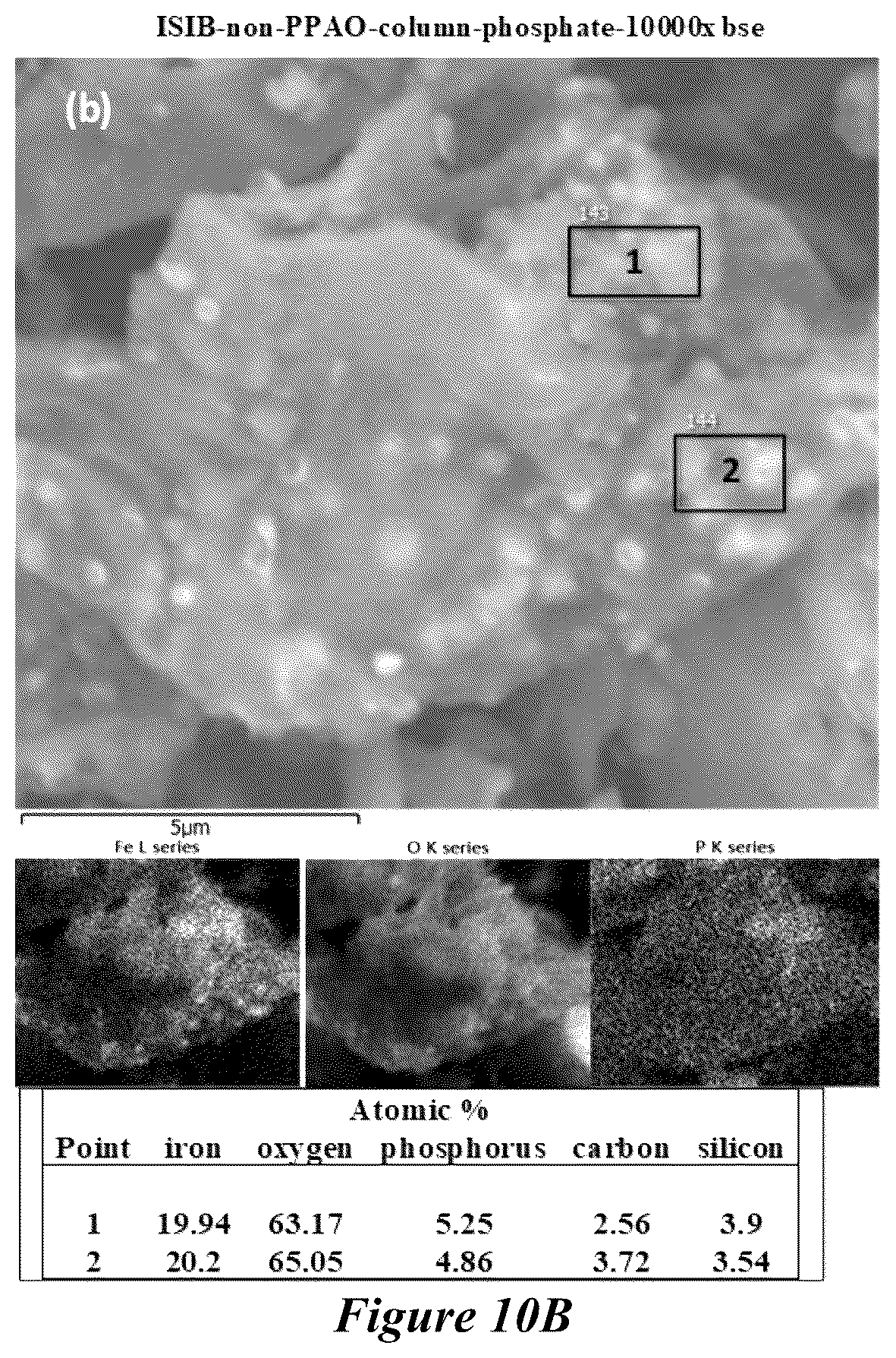Patent US12139442 Figure 11 – Biochar product, its use in fertilizers, and methods of making the biochar