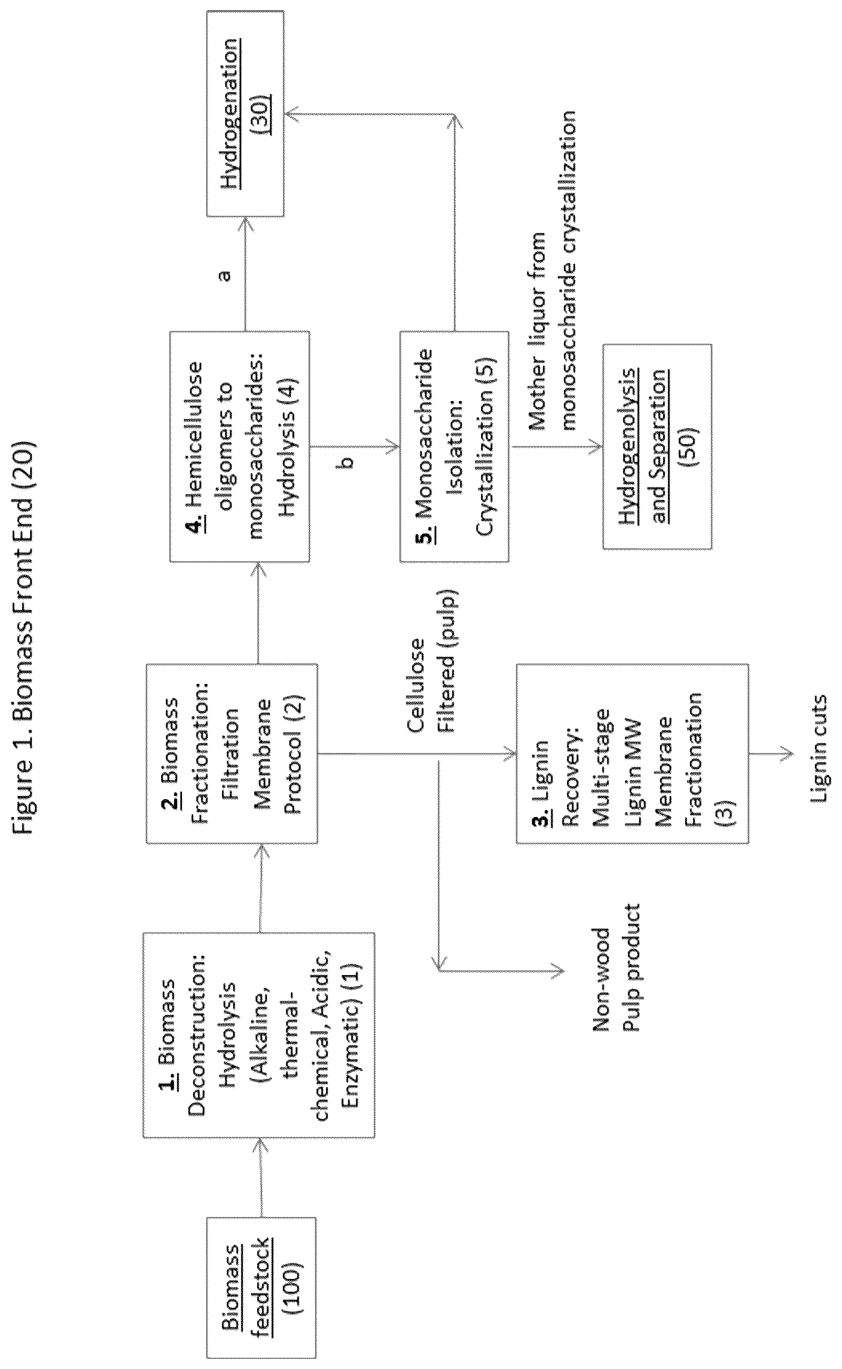 Patent US12139451 Figure 1 – Processes to create multiple value streams from biomass sources