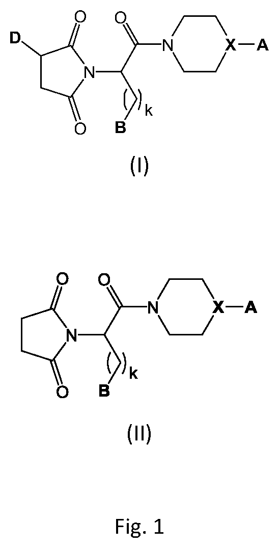 Patent US12139458 Figure 1 – (2,5-dioxopyrrolidin-1-yl)(phenyl)-acetamide derivatives and their use in the treatment of neurological diseases