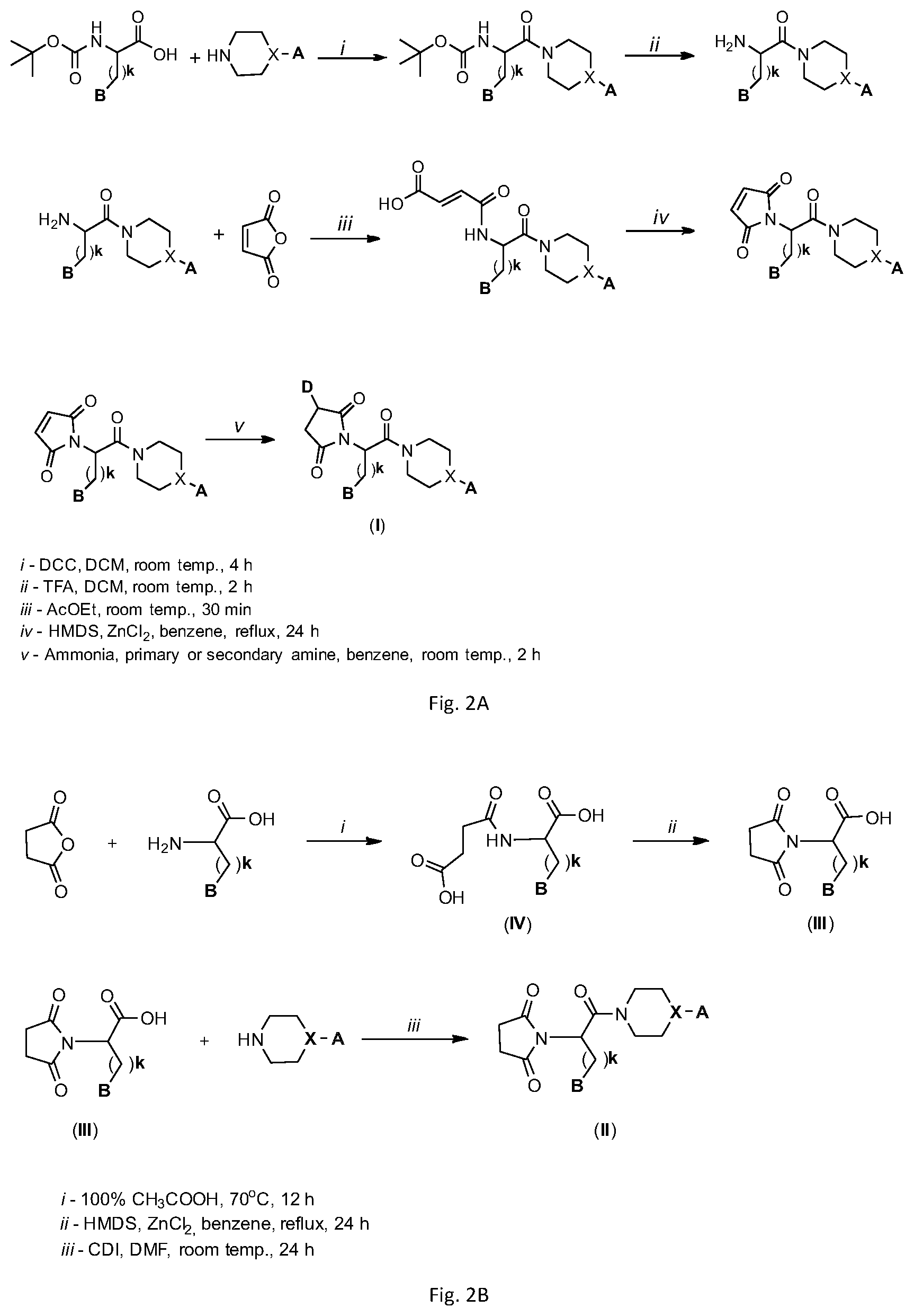 Patent US12139458 Figure 2 – (2,5-dioxopyrrolidin-1-yl)(phenyl)-acetamide derivatives and their use in the treatment of neurological diseases