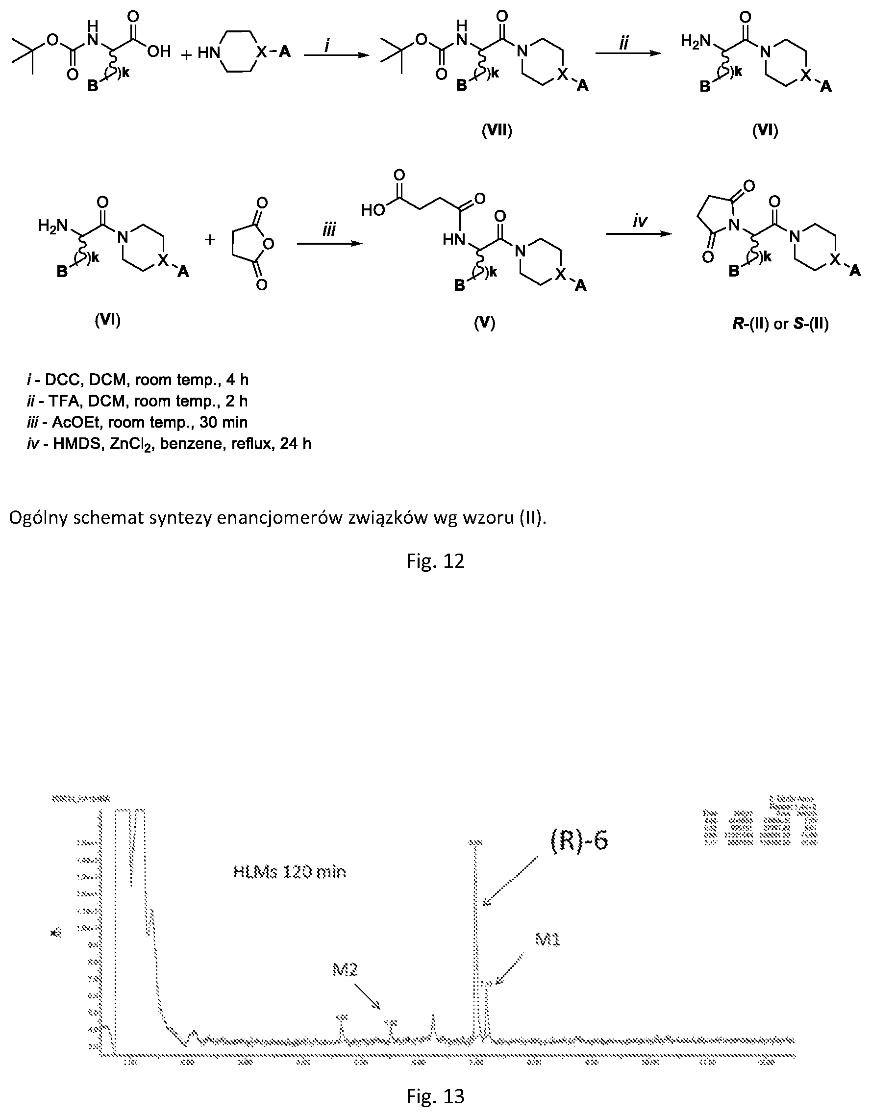 Patent US12139458 Figure 8 – (2,5-dioxopyrrolidin-1-yl)(phenyl)-acetamide derivatives and their use in the treatment of neurological diseases