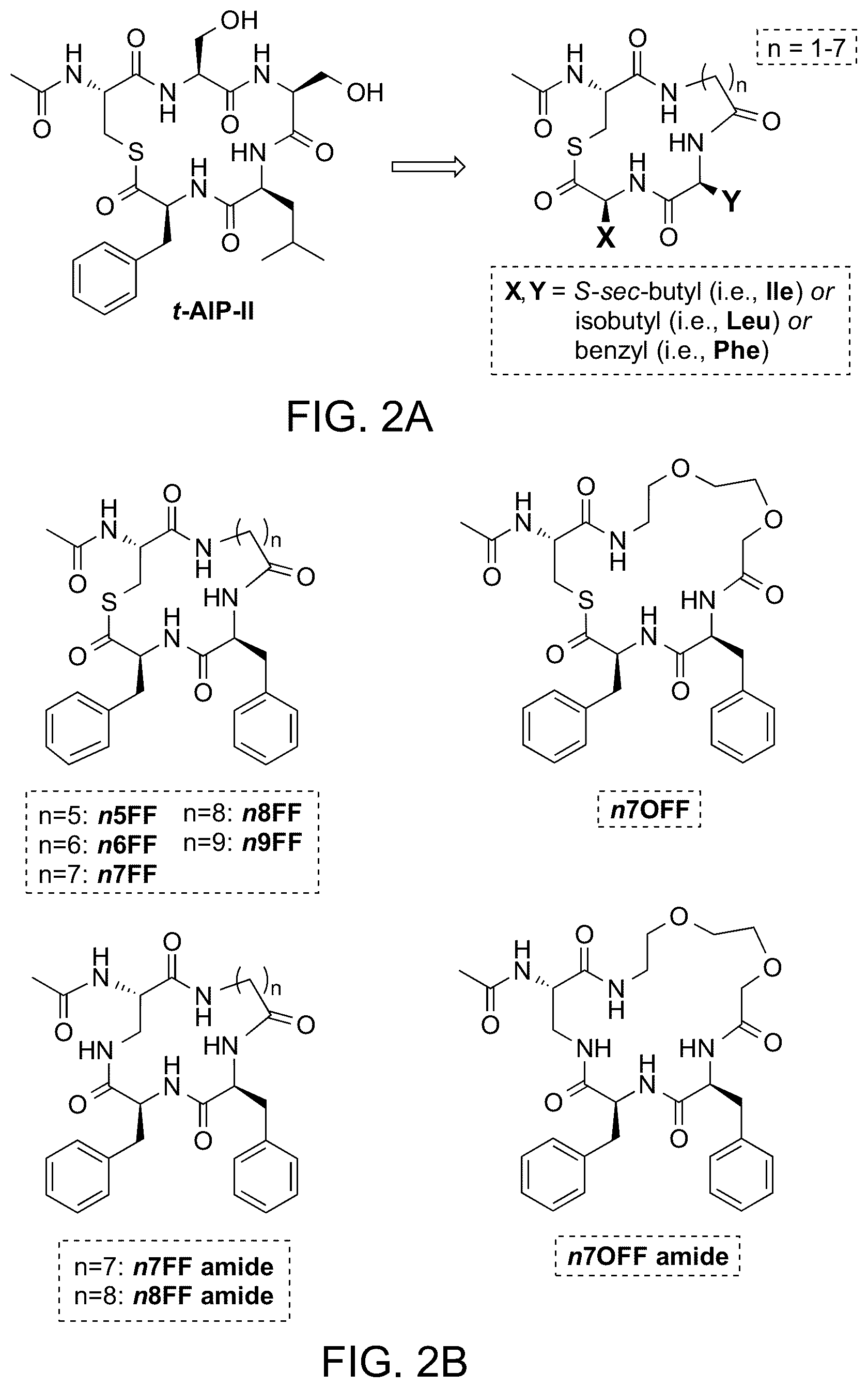 Patent US12139464 Figure 2 – Simplified structural mimetics of AIPS as quorum sensing inhibitors