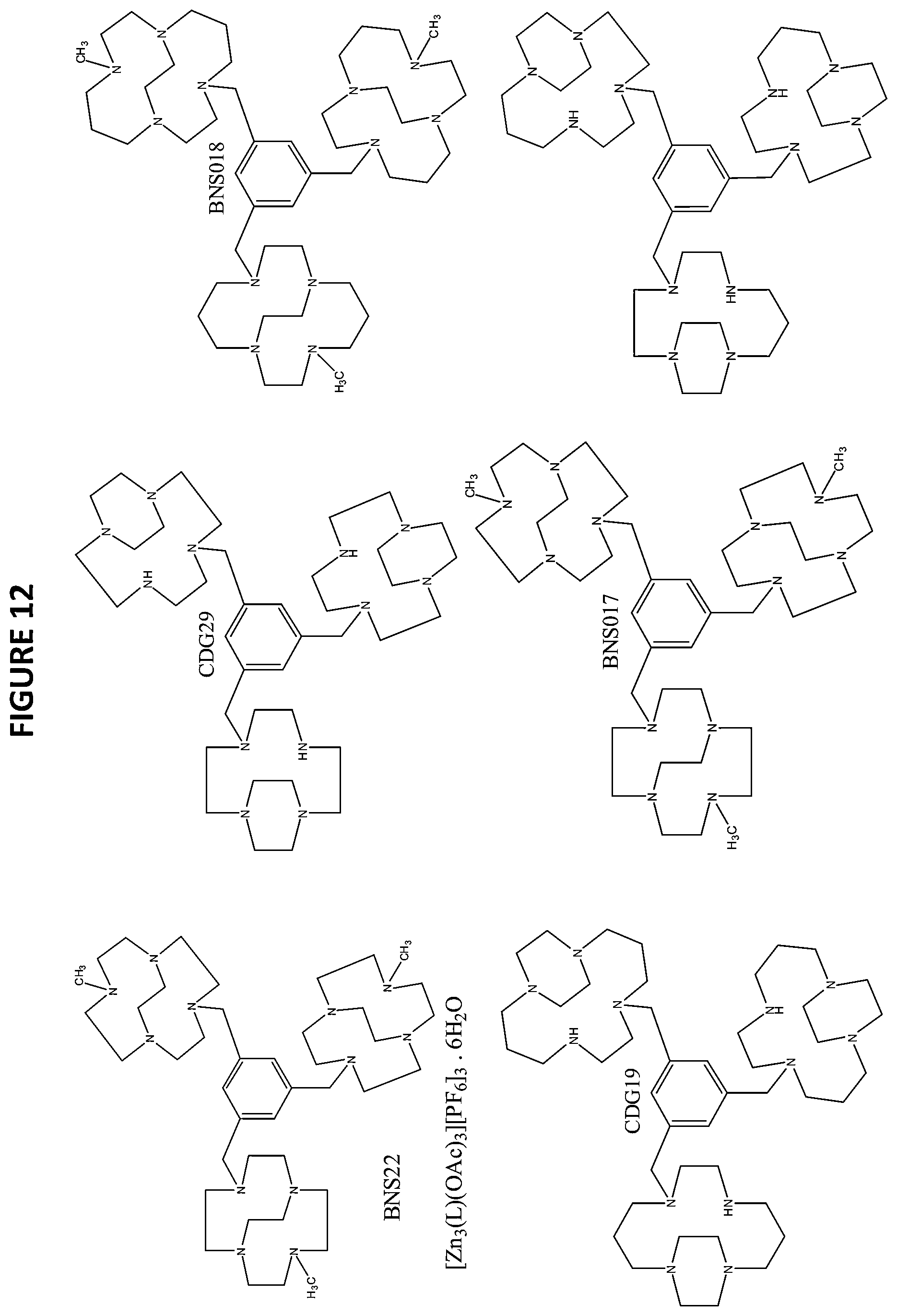 Patent US12139481 Figure 12 – Compositions comprising macrocycle derivatives incorporating bridged macrocycles and methods of producing and using same
