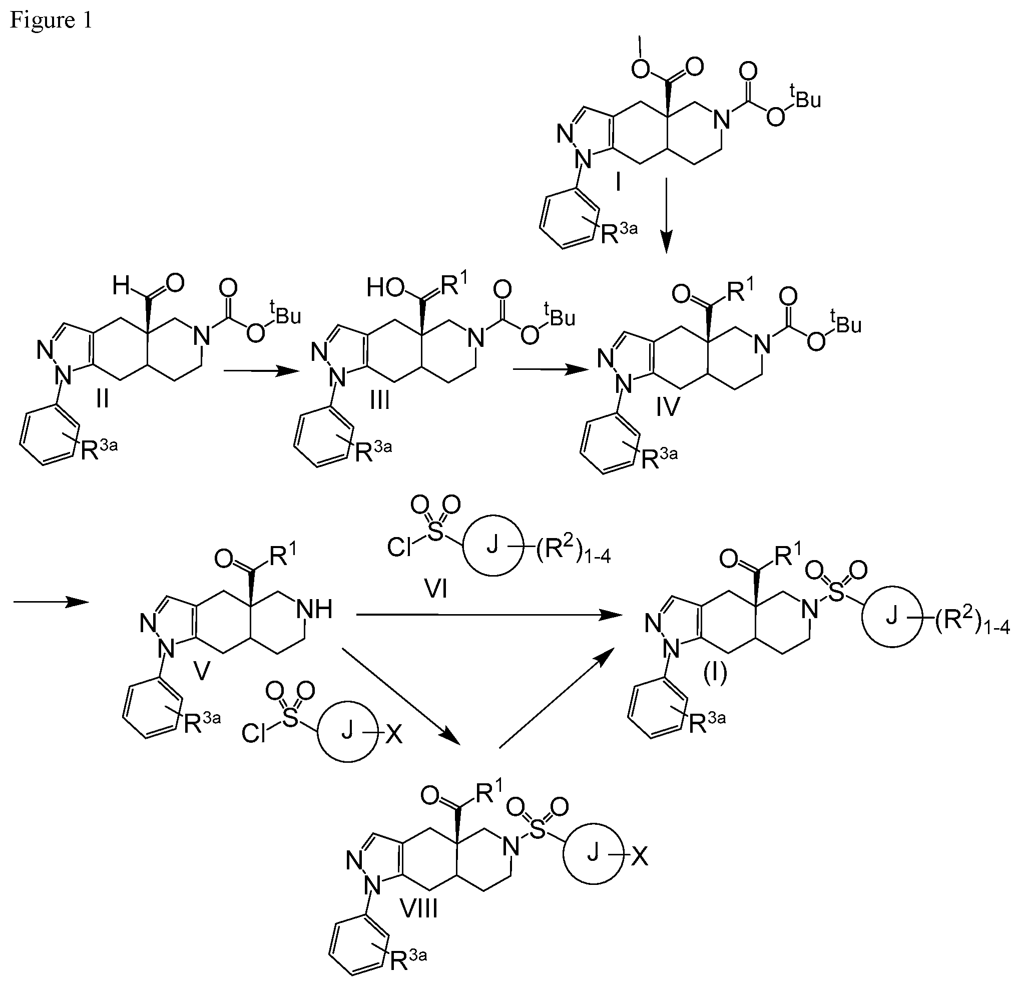 Patent US12139486 Figure 1 – Octahydro fused azadecalin glucocorticoid receptor modulators