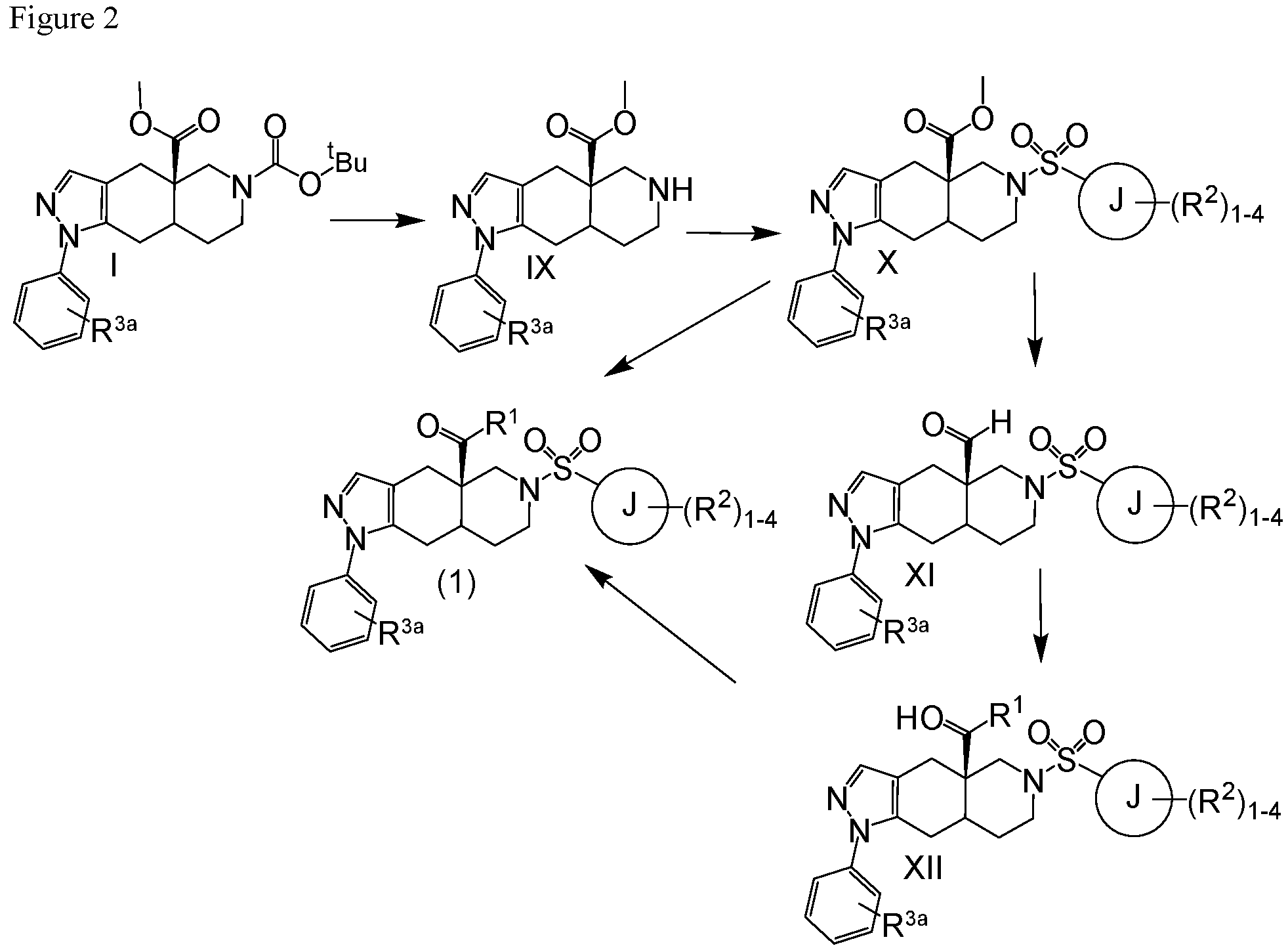 Patent US12139486 Figure 2 – Octahydro fused azadecalin glucocorticoid receptor modulators