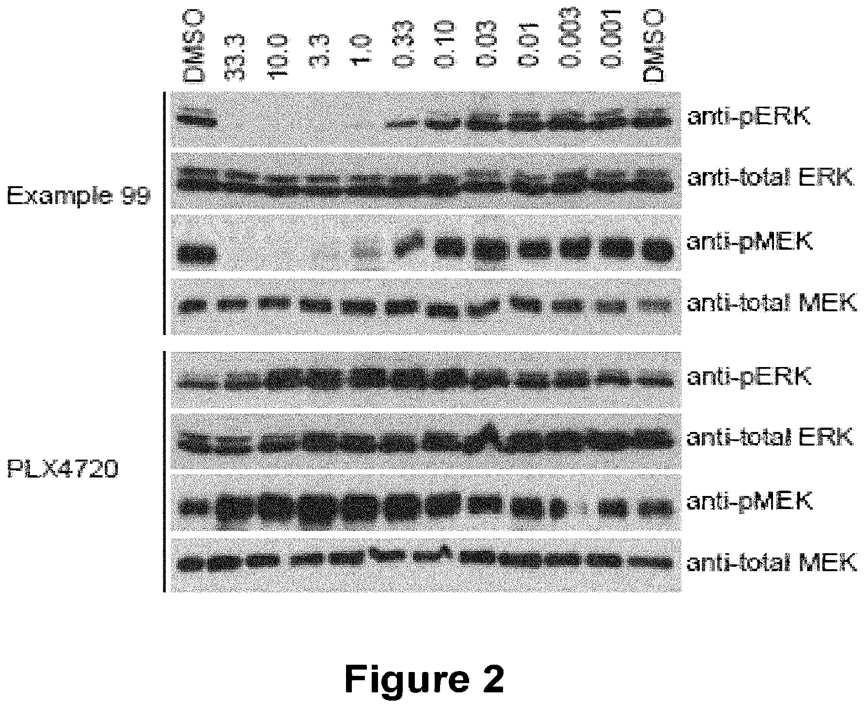 Patent US12139488 Figure 2 – Pyrido[3,2-d]pyrimidine compounds uses thereof for treating a proliferative disease