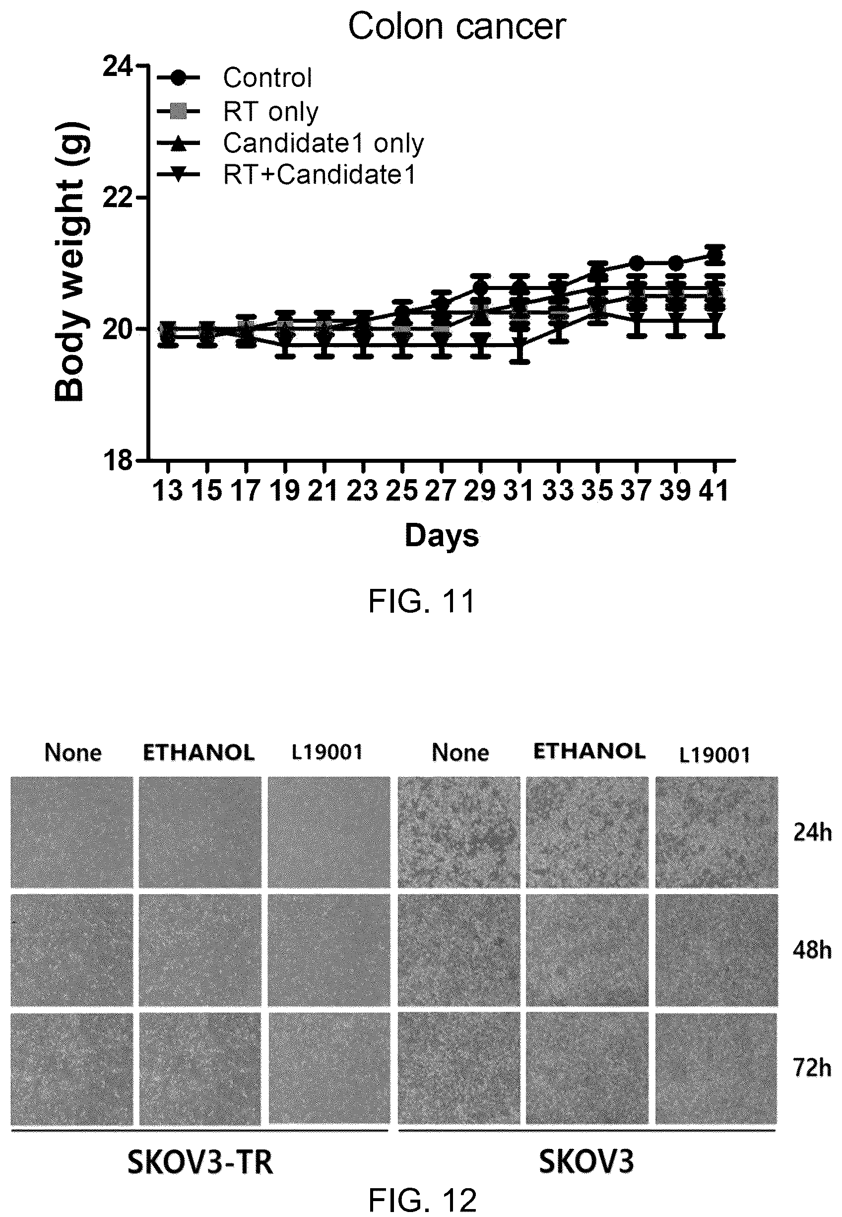 Patent US12139491 Figure 10 – Diketopiperazine derivatives as calcium ATPase inhibitor for enhancing anticancer activity