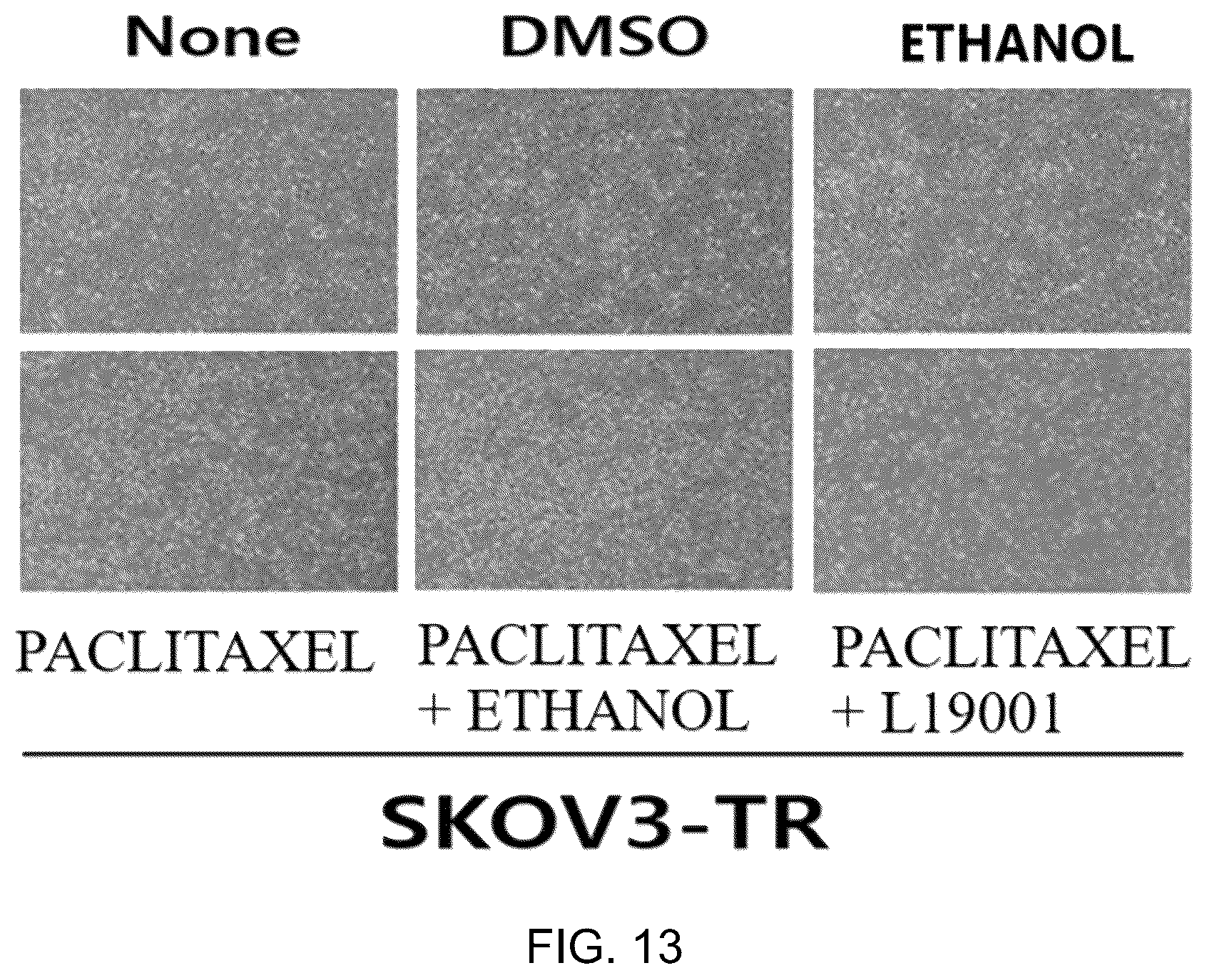 Patent US12139491 Figure 11 – Diketopiperazine derivatives as calcium ATPase inhibitor for enhancing anticancer activity