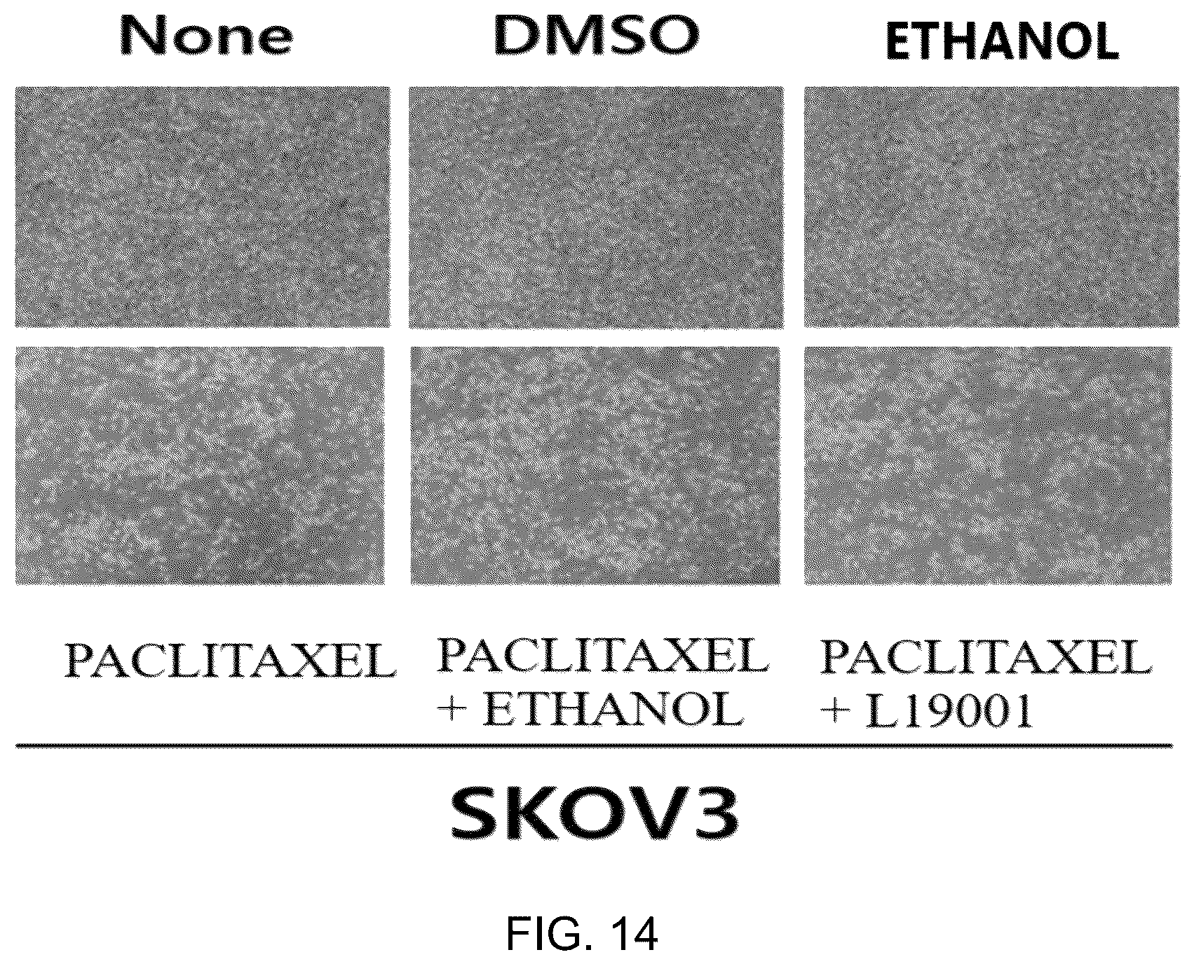 Patent US12139491 Figure 12 – Diketopiperazine derivatives as calcium ATPase inhibitor for enhancing anticancer activity