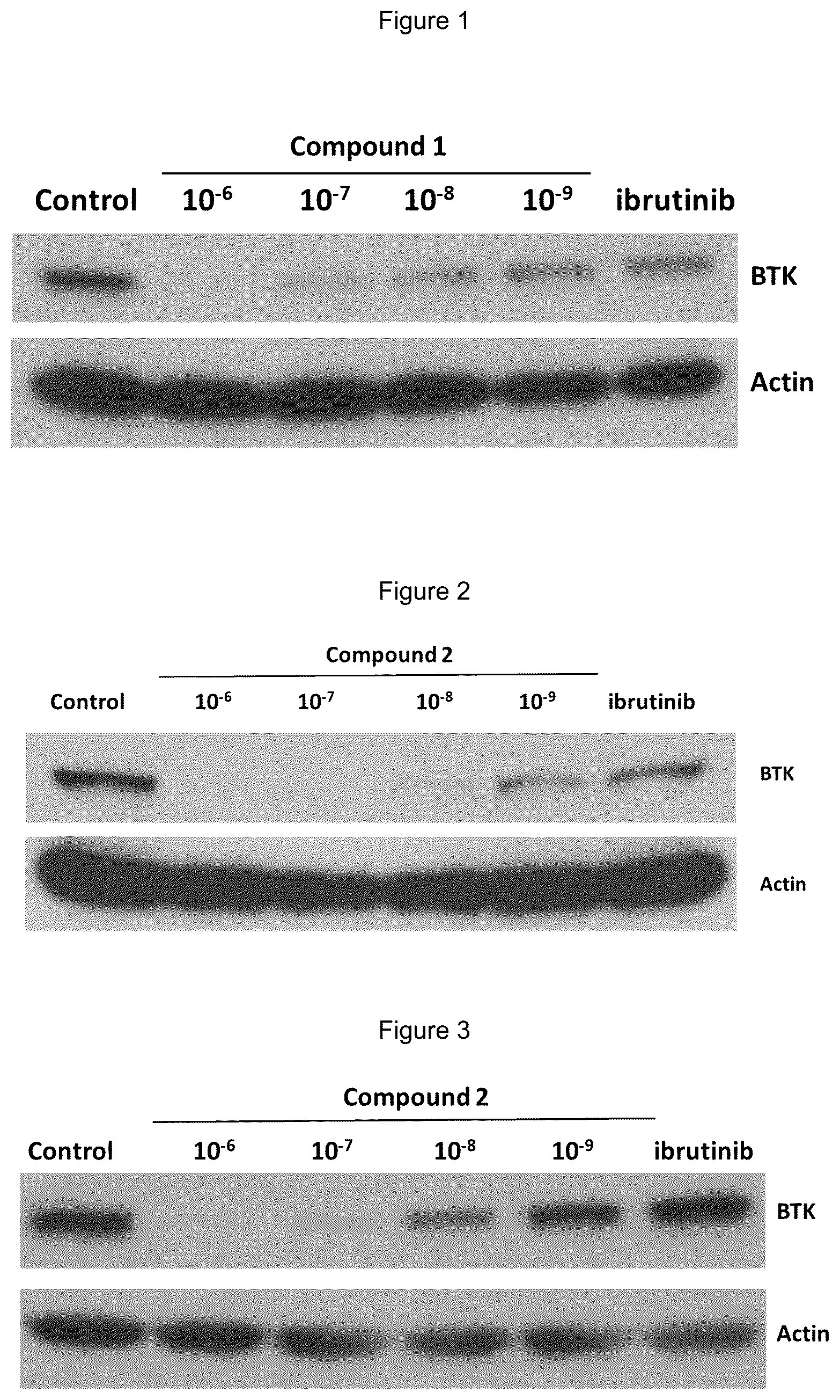 Patent US12139492 Figure 1 – Substituted pyrimidines for the targeted degradation of Bruton's tyrosine kinase
