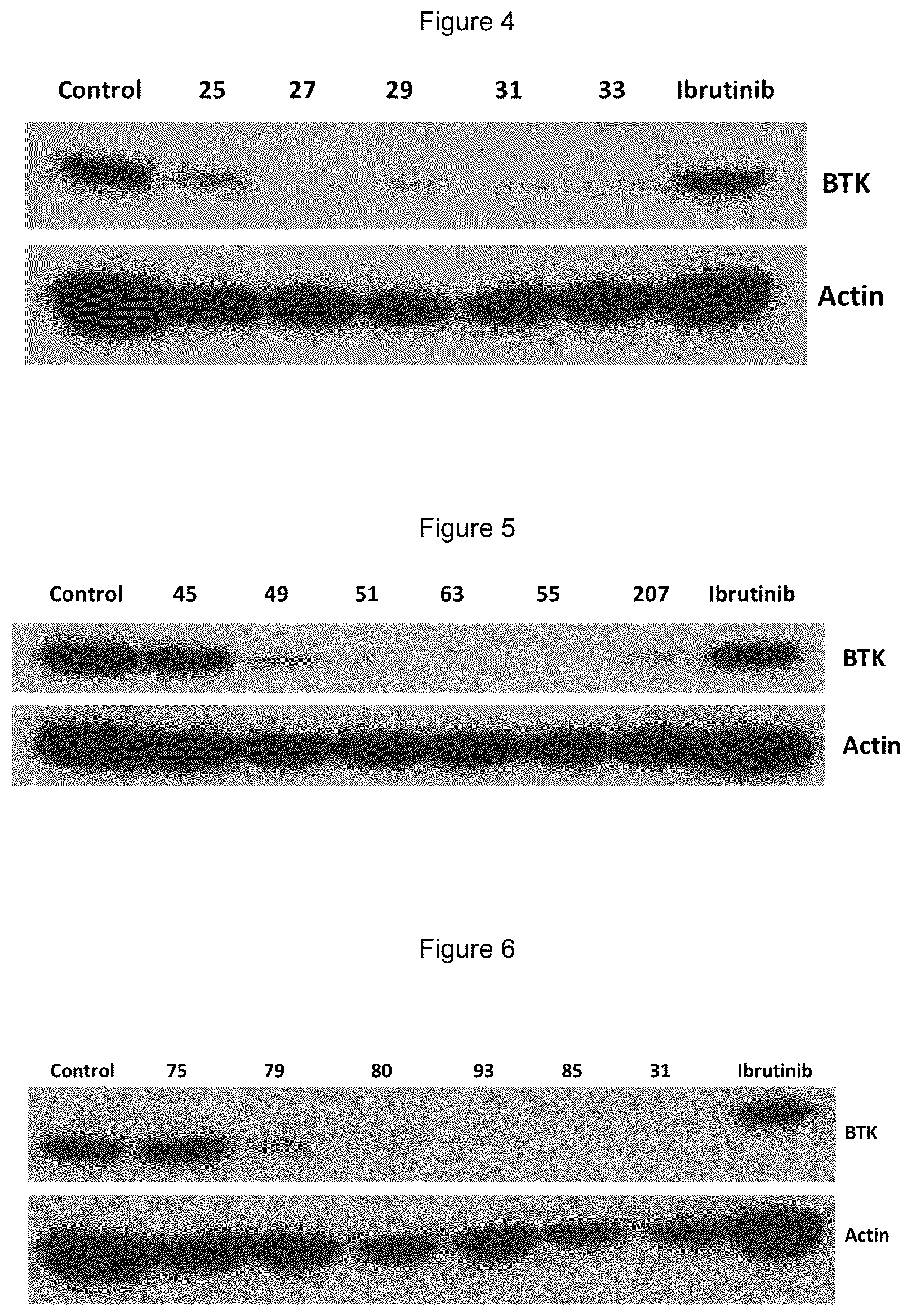 Patent US12139492 Figure 2 – Substituted pyrimidines for the targeted degradation of Bruton's tyrosine kinase