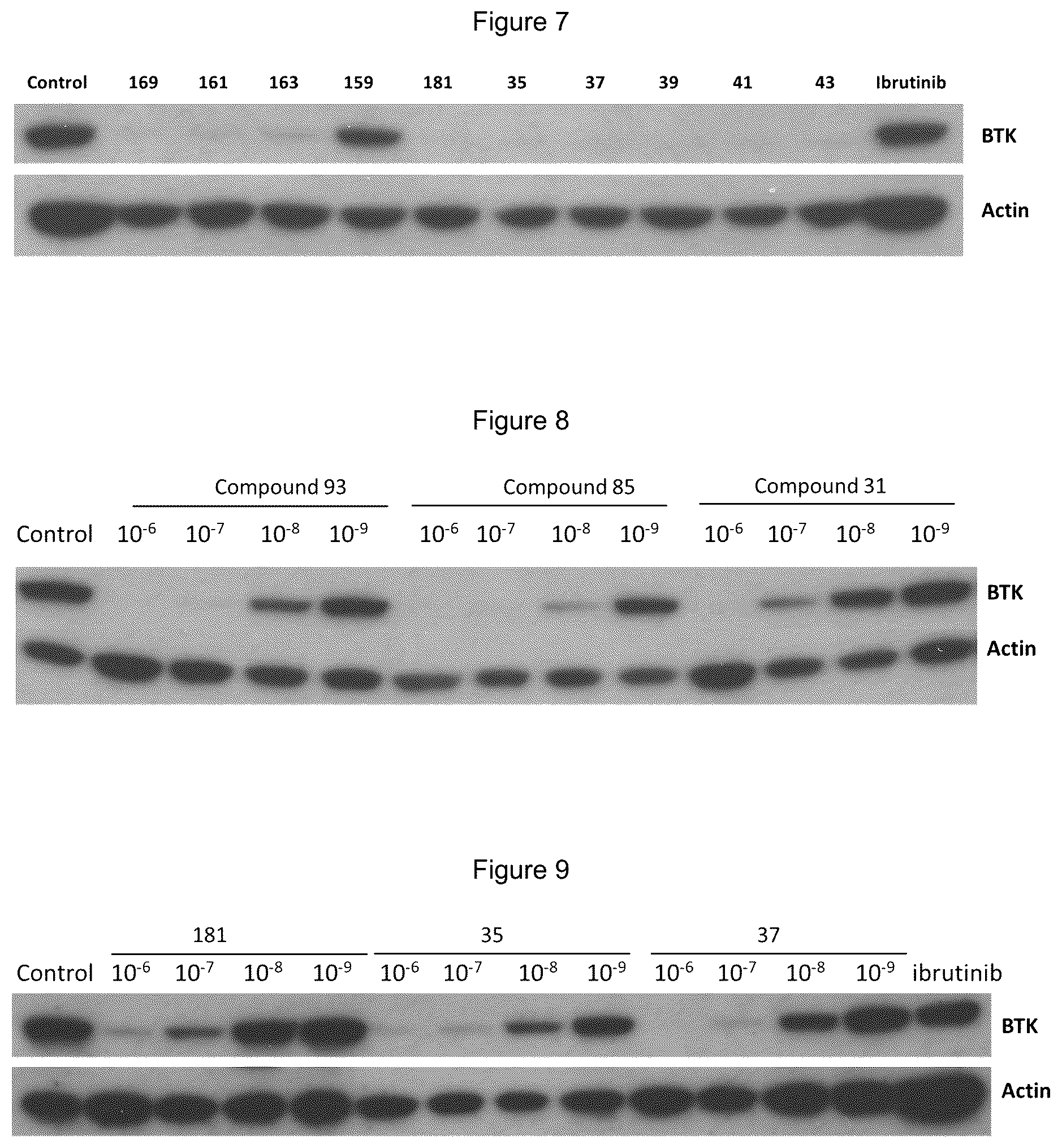 Patent US12139492 Figure 3 – Substituted pyrimidines for the targeted degradation of Bruton's tyrosine kinase