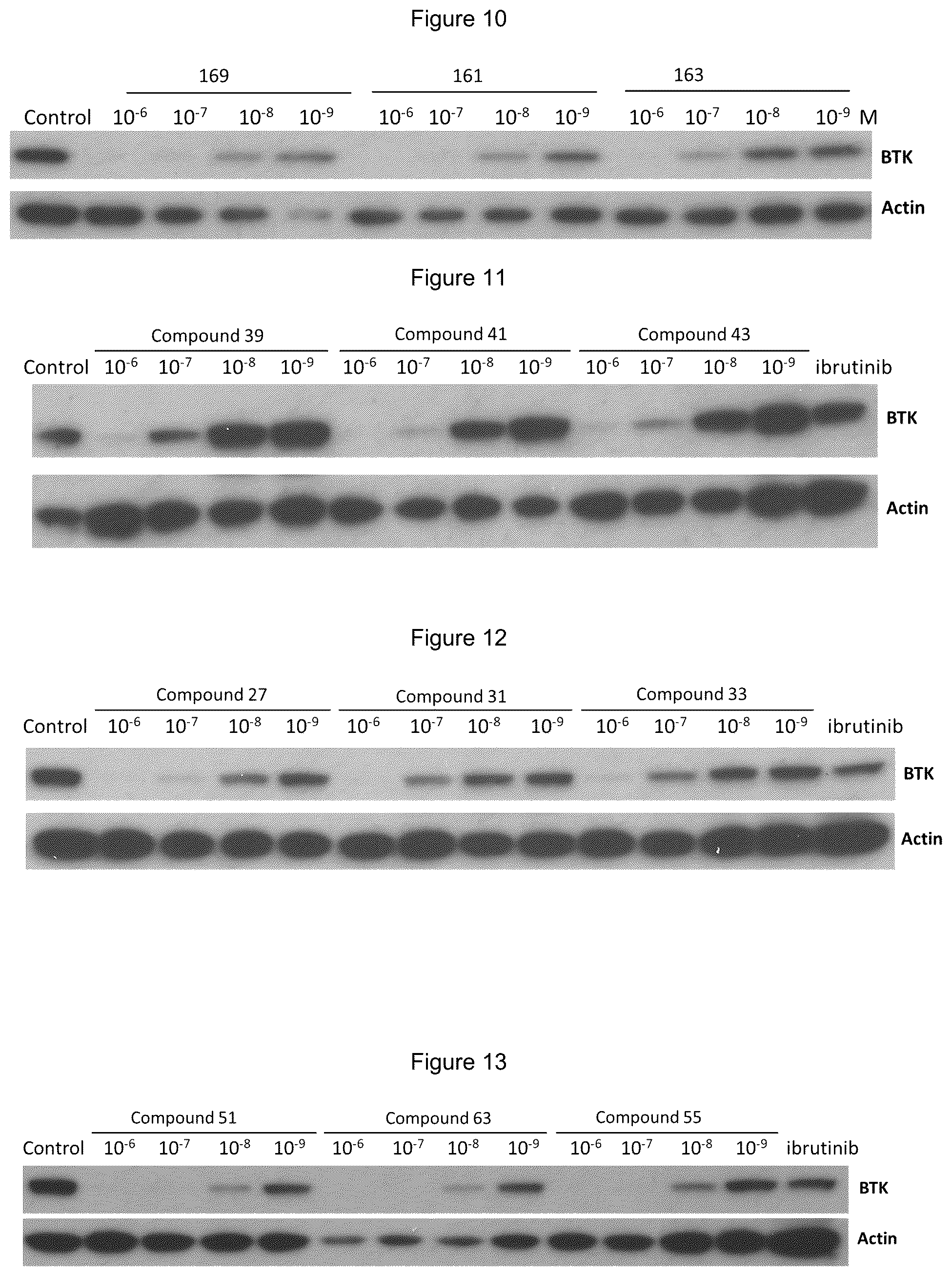 Patent US12139492 Figure 4 – Substituted pyrimidines for the targeted degradation of Bruton's tyrosine kinase