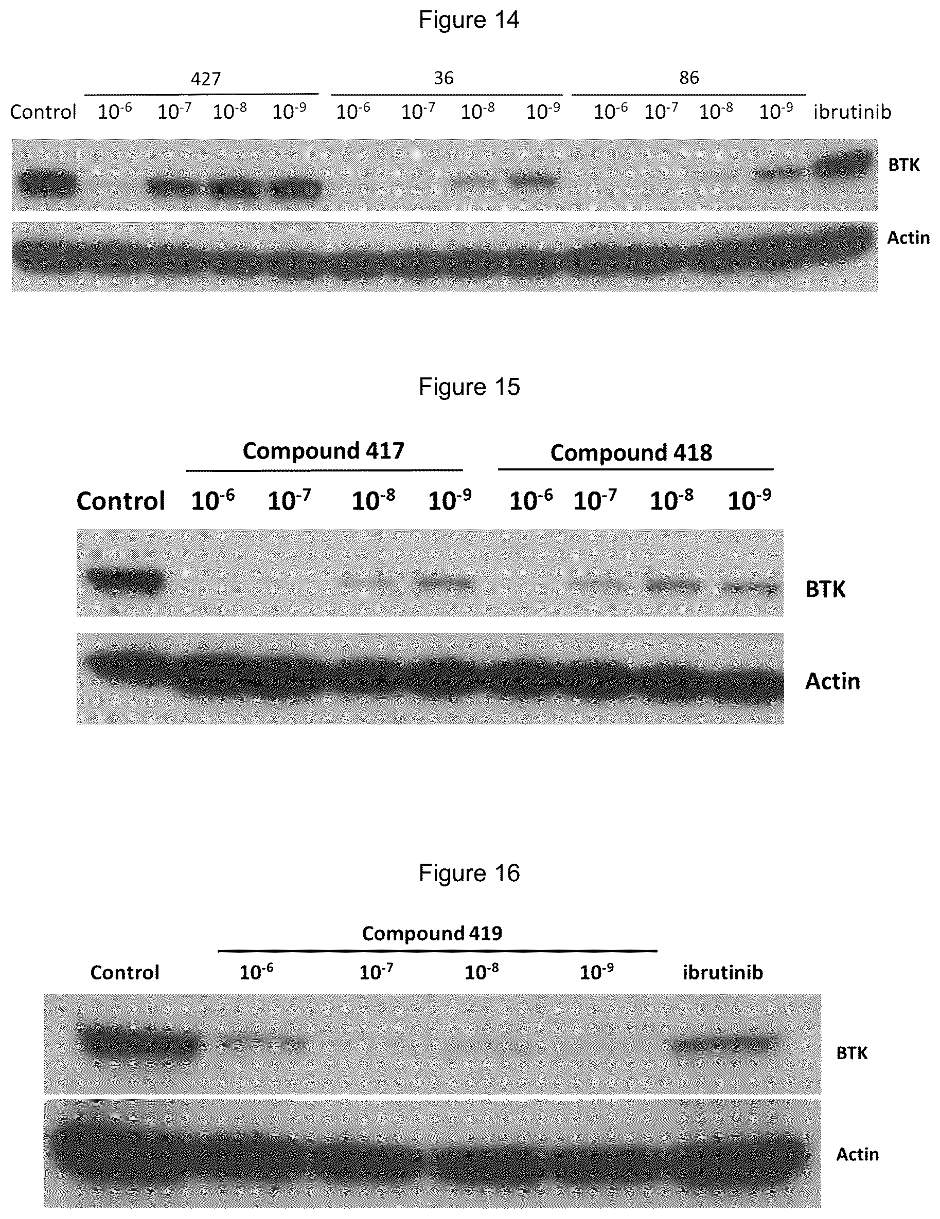 Patent US12139492 Figure 5 – Substituted pyrimidines for the targeted degradation of Bruton's tyrosine kinase