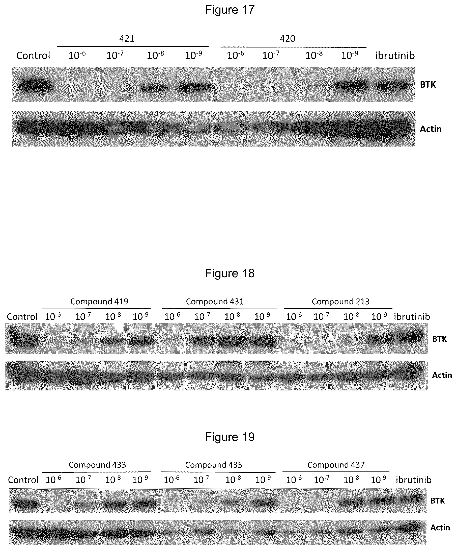Patent US12139492 Figure 6 – Substituted pyrimidines for the targeted degradation of Bruton's tyrosine kinase