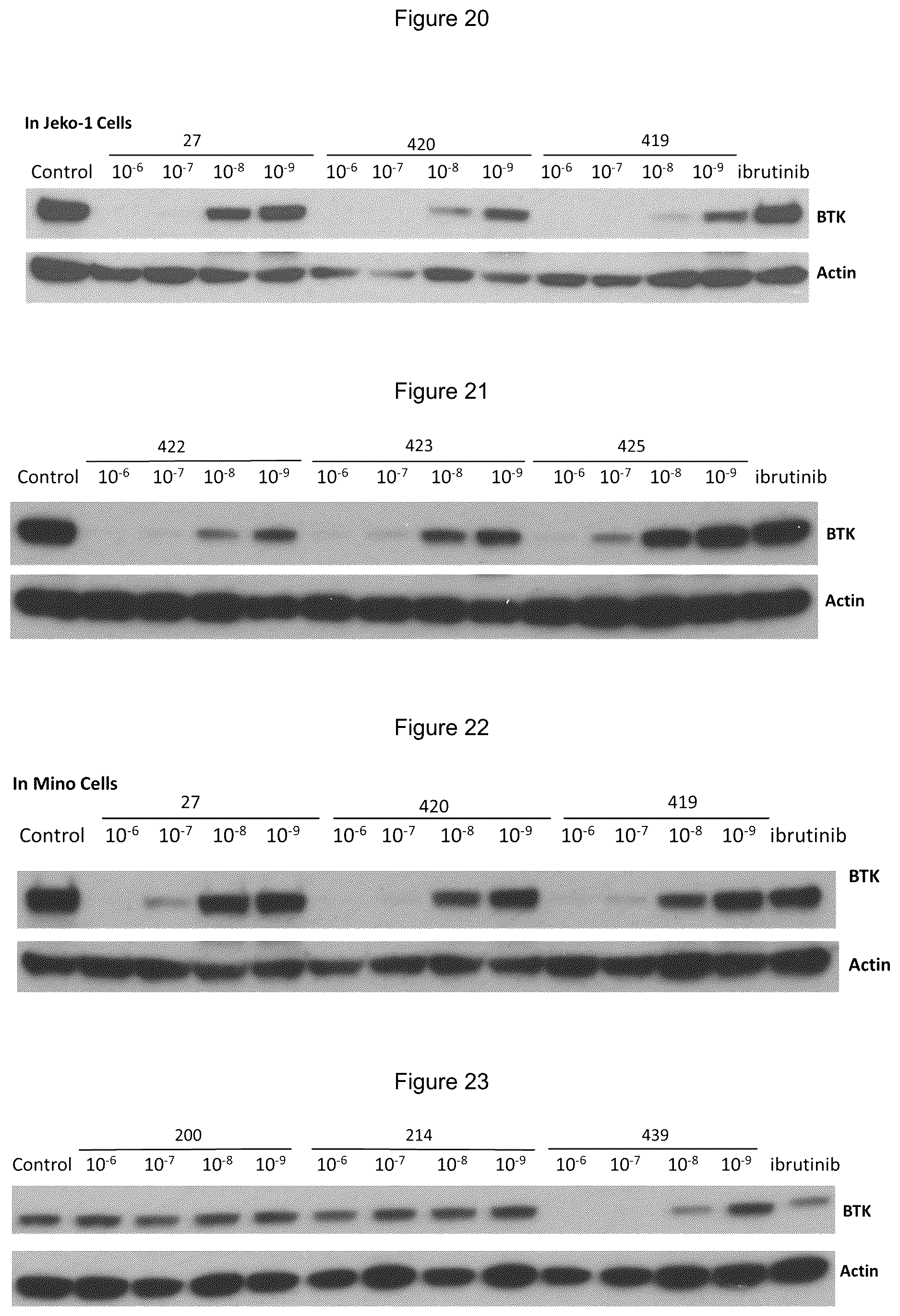 Patent US12139492 Figure 7 – Substituted pyrimidines for the targeted degradation of Bruton's tyrosine kinase