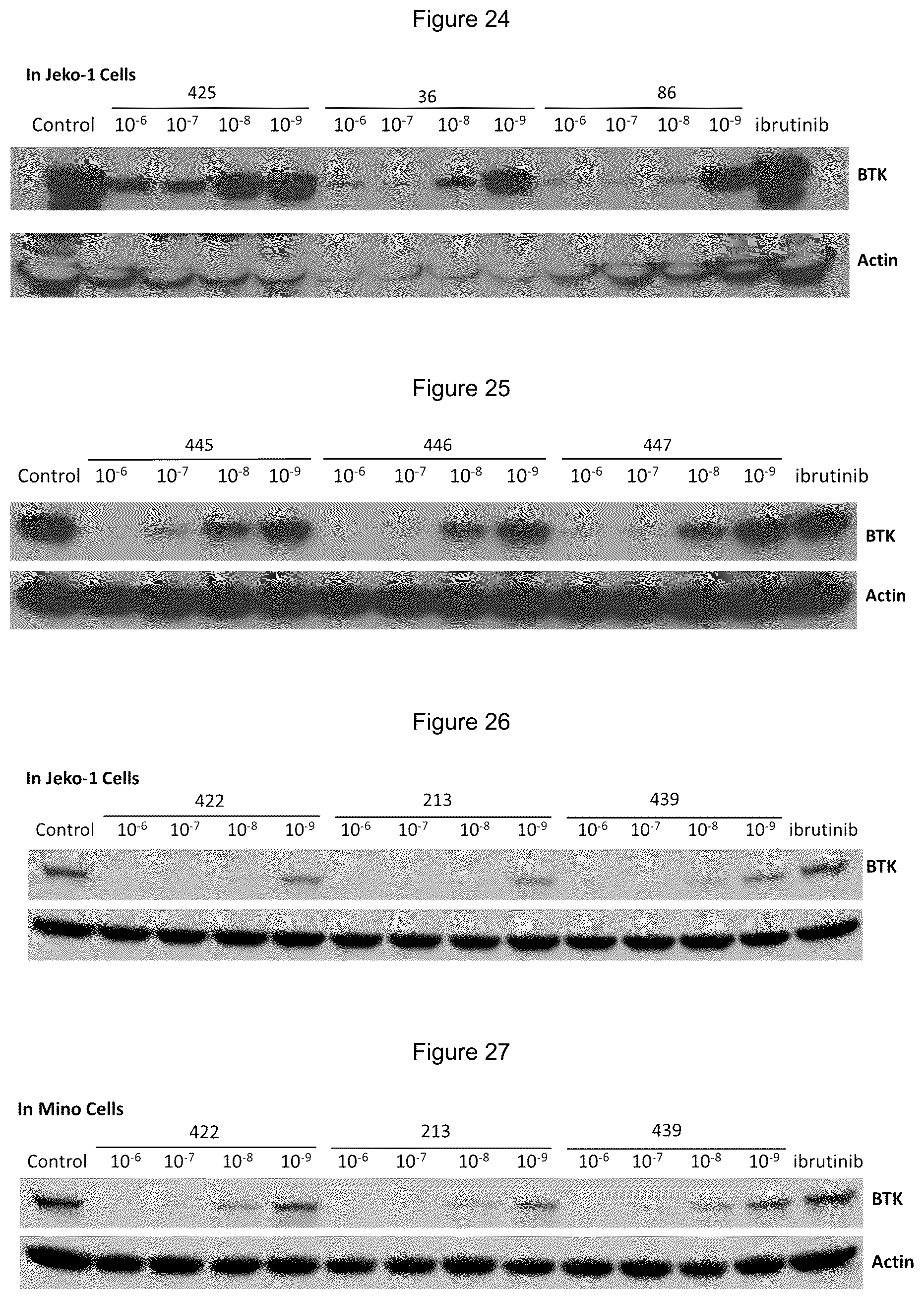 Patent US12139492 Figure 8 – Substituted pyrimidines for the targeted degradation of Bruton's tyrosine kinase