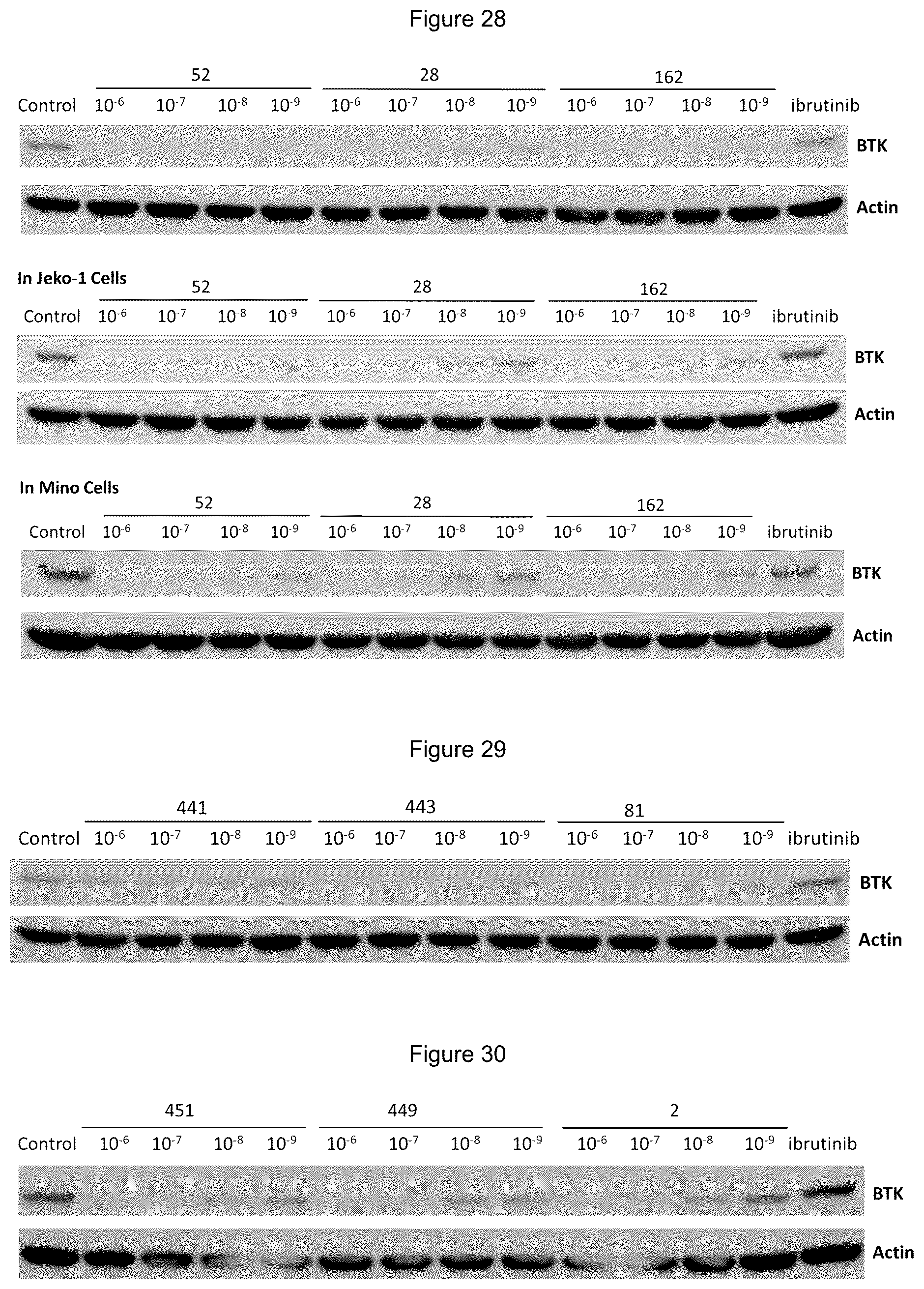 Patent US12139492 Figure 9 – Substituted pyrimidines for the targeted degradation of Bruton's tyrosine kinase