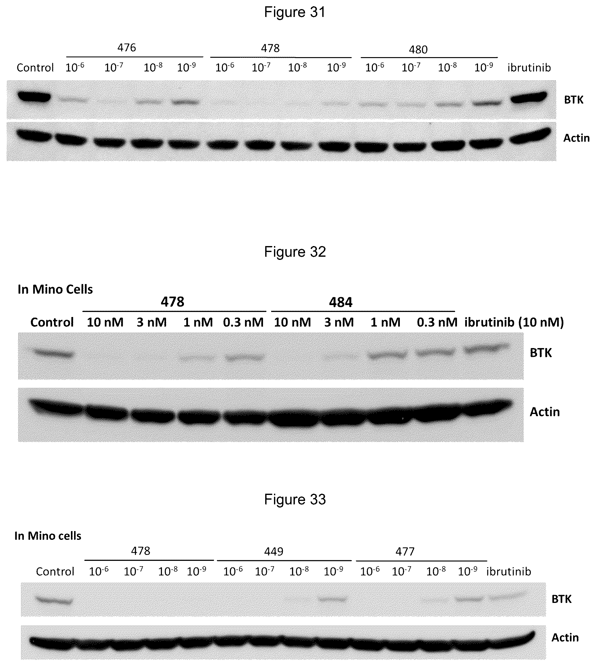 Patent US12139492 Figure 10 – Substituted pyrimidines for the targeted degradation of Bruton's tyrosine kinase