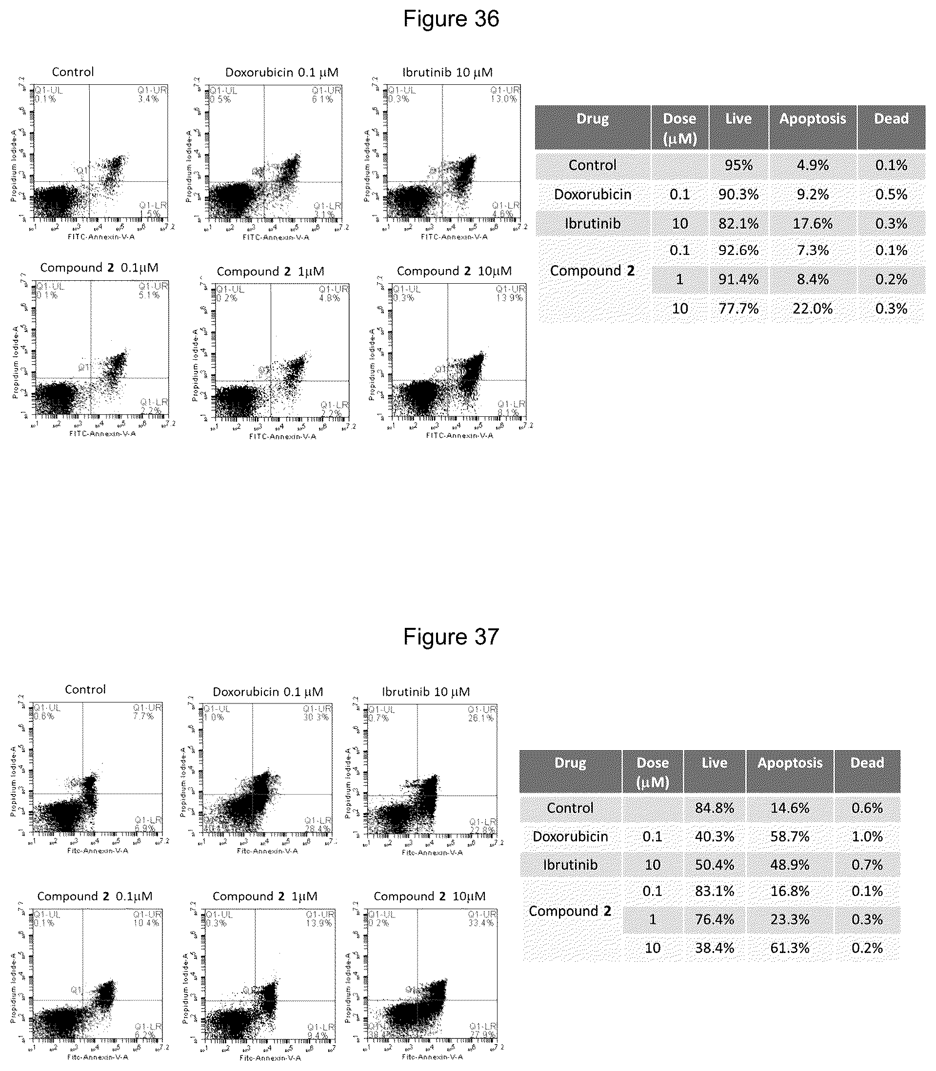 Patent US12139492 Figure 12 – Substituted pyrimidines for the targeted degradation of Bruton's tyrosine kinase