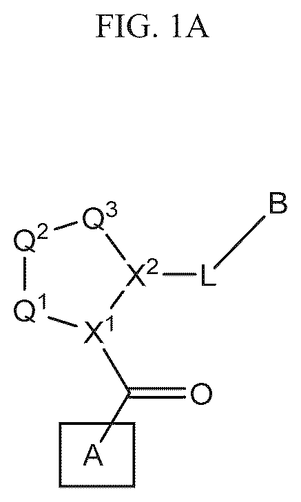 Patent US12139497 Figure 1 – Aryl, heteroaryl, and heterocyclic compounds for treatment of medical disorders