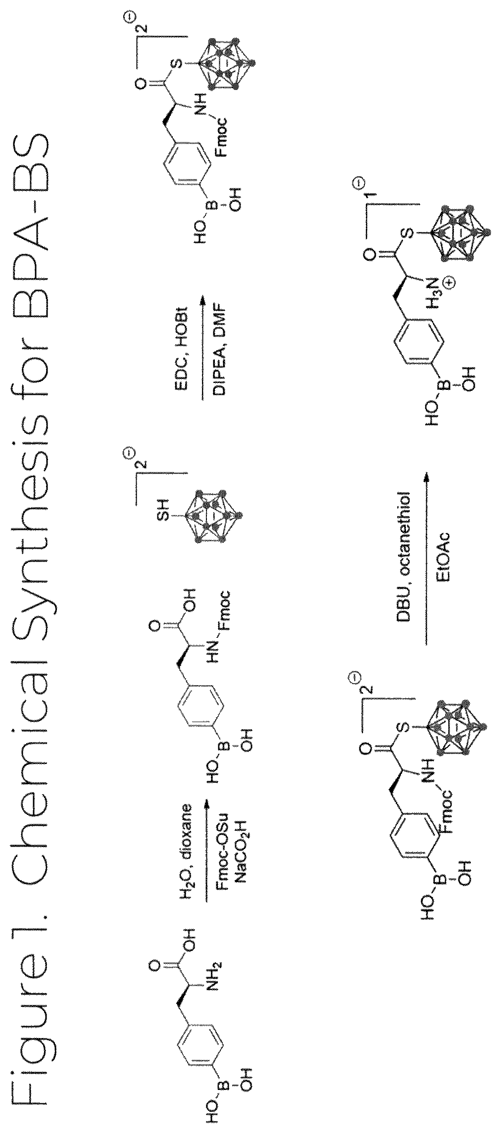 Patent US12139503 Figure 1 – Borylated amino acid compositions for use in boron neutron capture therapy and methods thereof