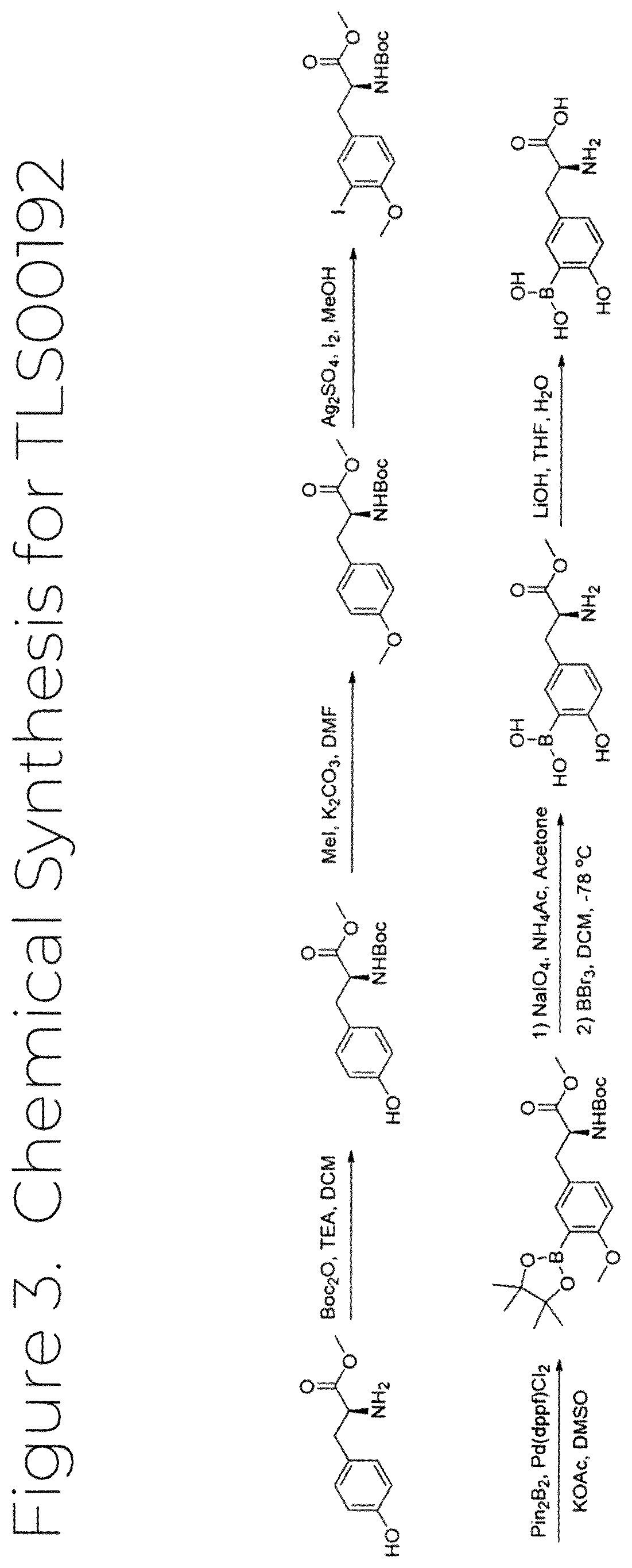 Patent US12139503 Figure 3 – Borylated amino acid compositions for use in boron neutron capture therapy and methods thereof