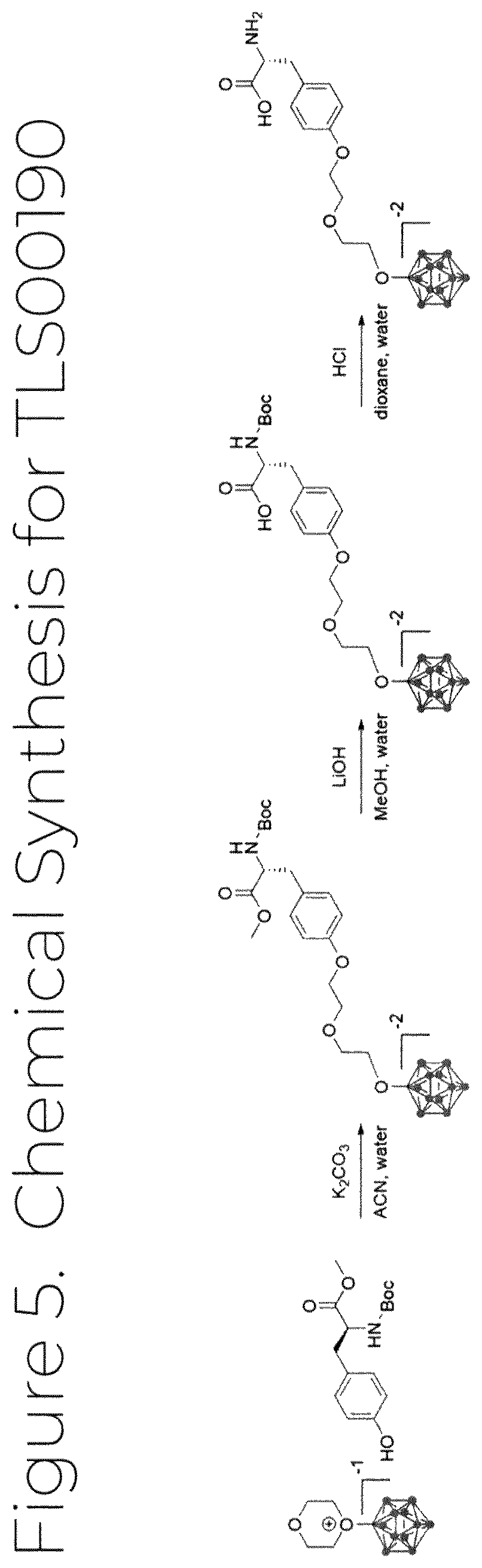Patent US12139503 Figure 5 – Borylated amino acid compositions for use in boron neutron capture therapy and methods thereof