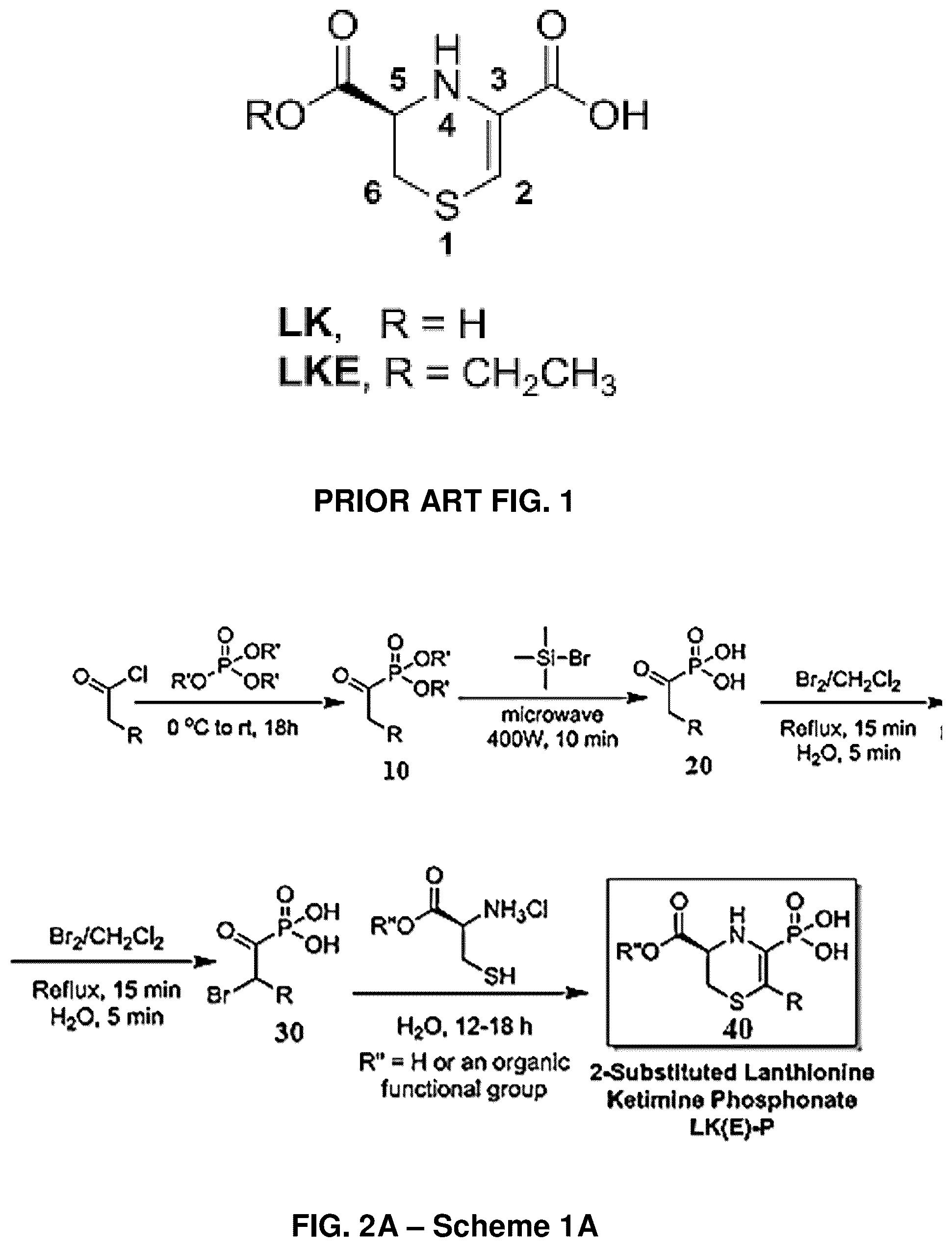 Patent US12139505 Figure 1 – Compositions useful in therapy of autophagy-related pathologies, and methods of making and using the same