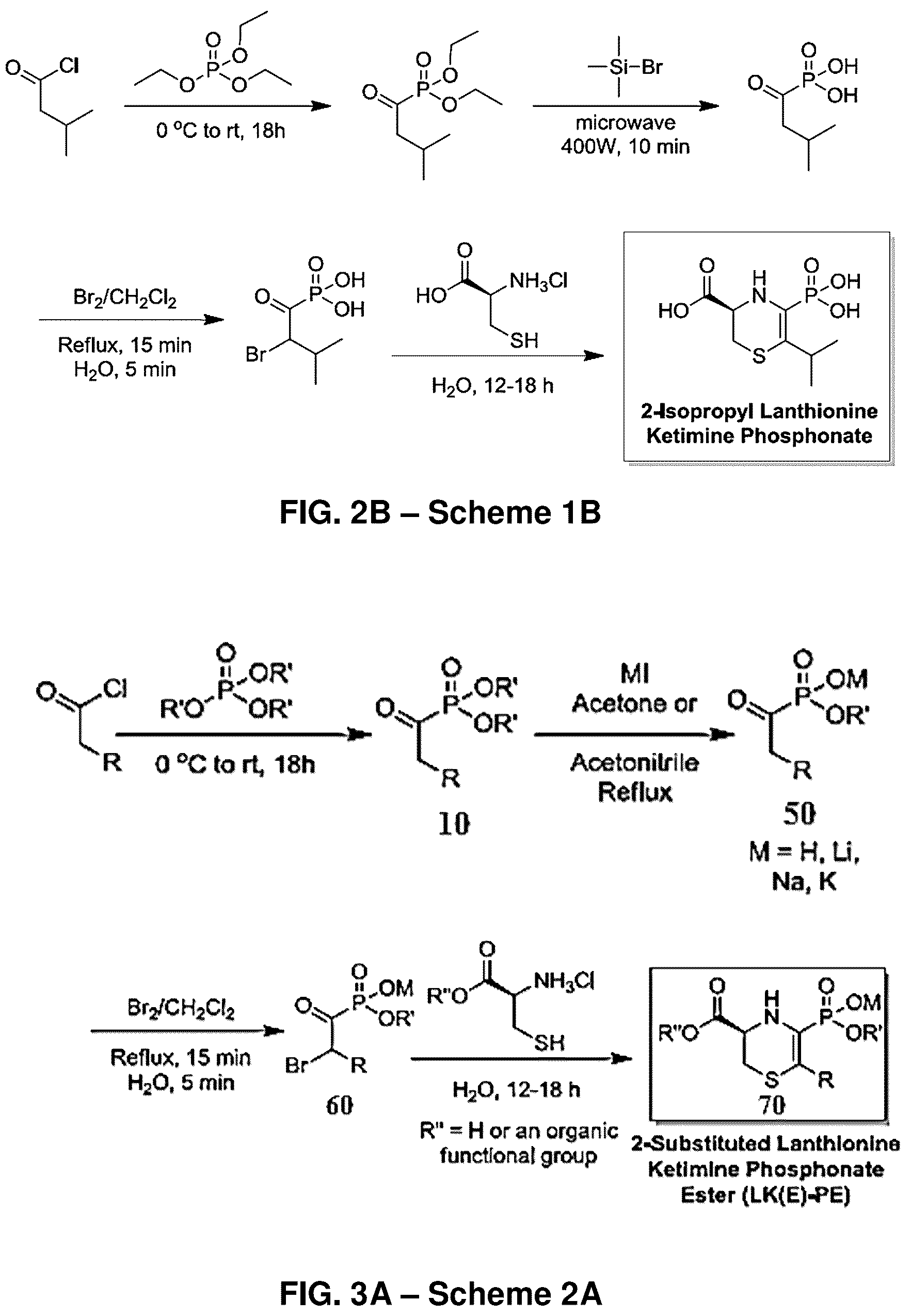 Patent US12139505 Figure 2 – Compositions useful in therapy of autophagy-related pathologies, and methods of making and using the same