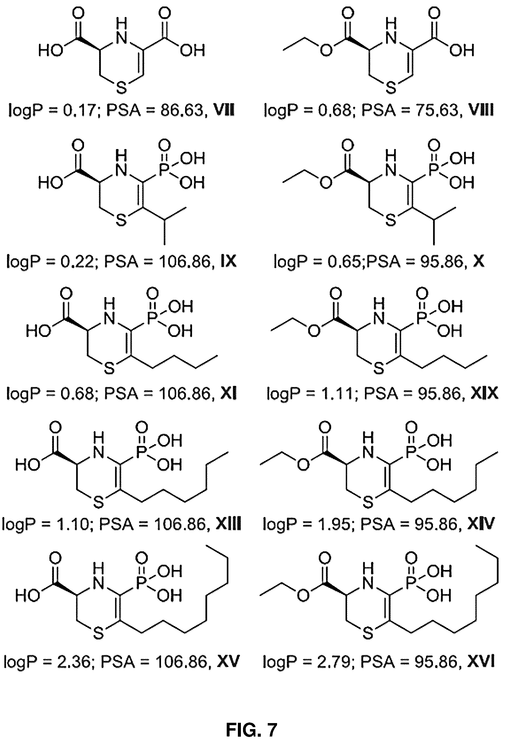 Patent US12139505 Figure 5 – Compositions useful in therapy of autophagy-related pathologies, and methods of making and using the same