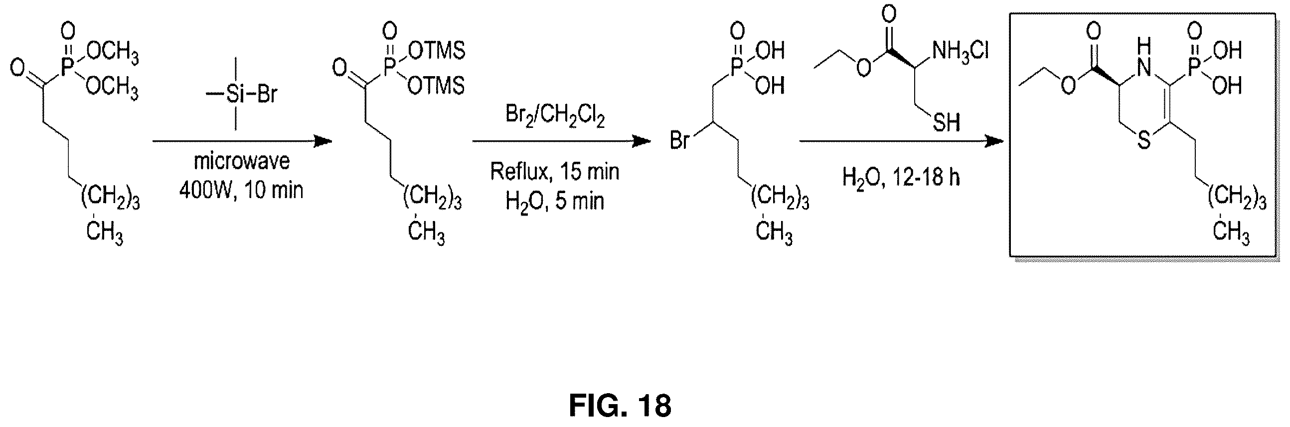 Patent US12139505 Figure 17 – Compositions useful in therapy of autophagy-related pathologies, and methods of making and using the same