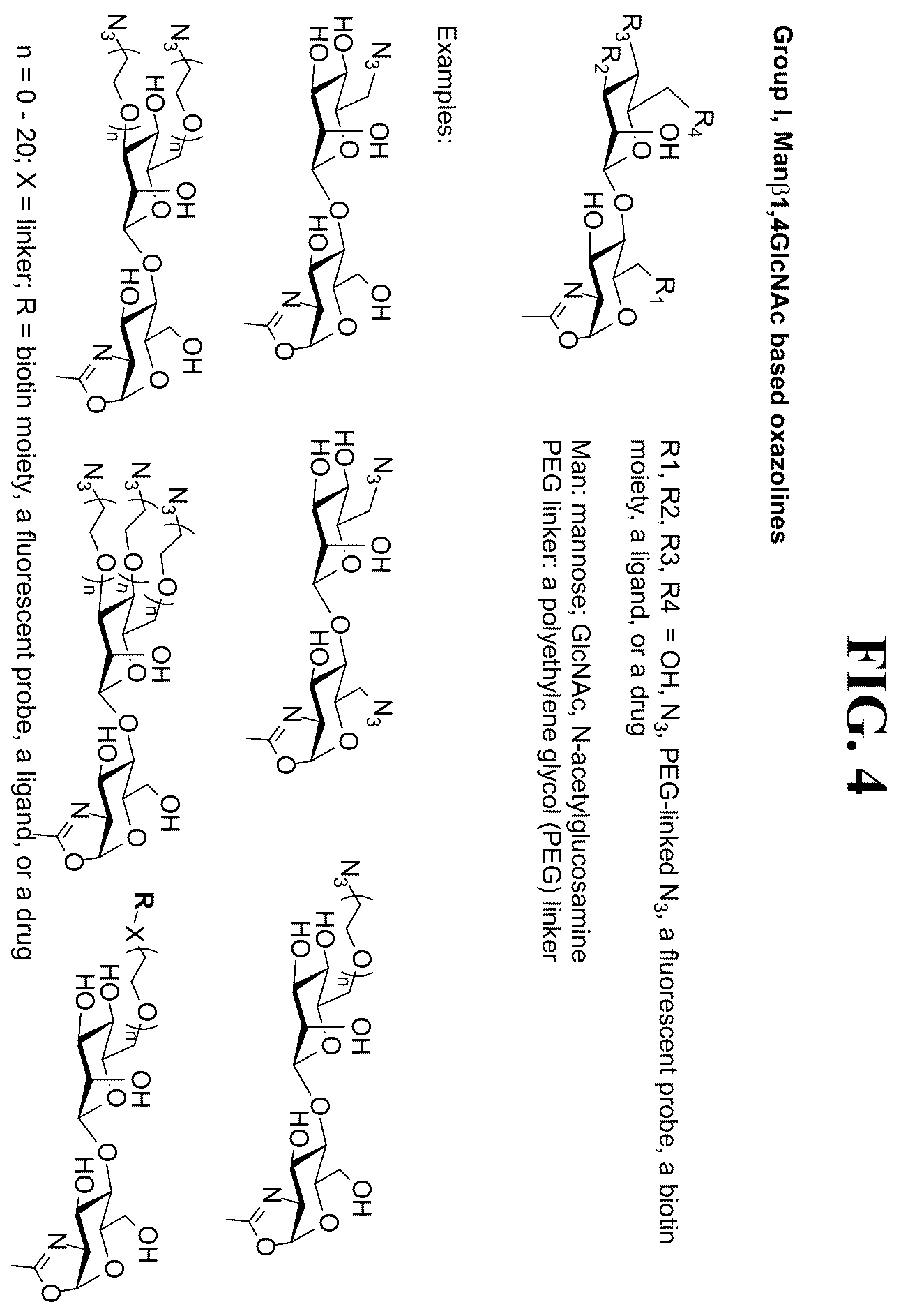 Patent US12139509 Figure 4 – Fc glycan remodeling platform method for site-specific antibody conjugation and applications thereof