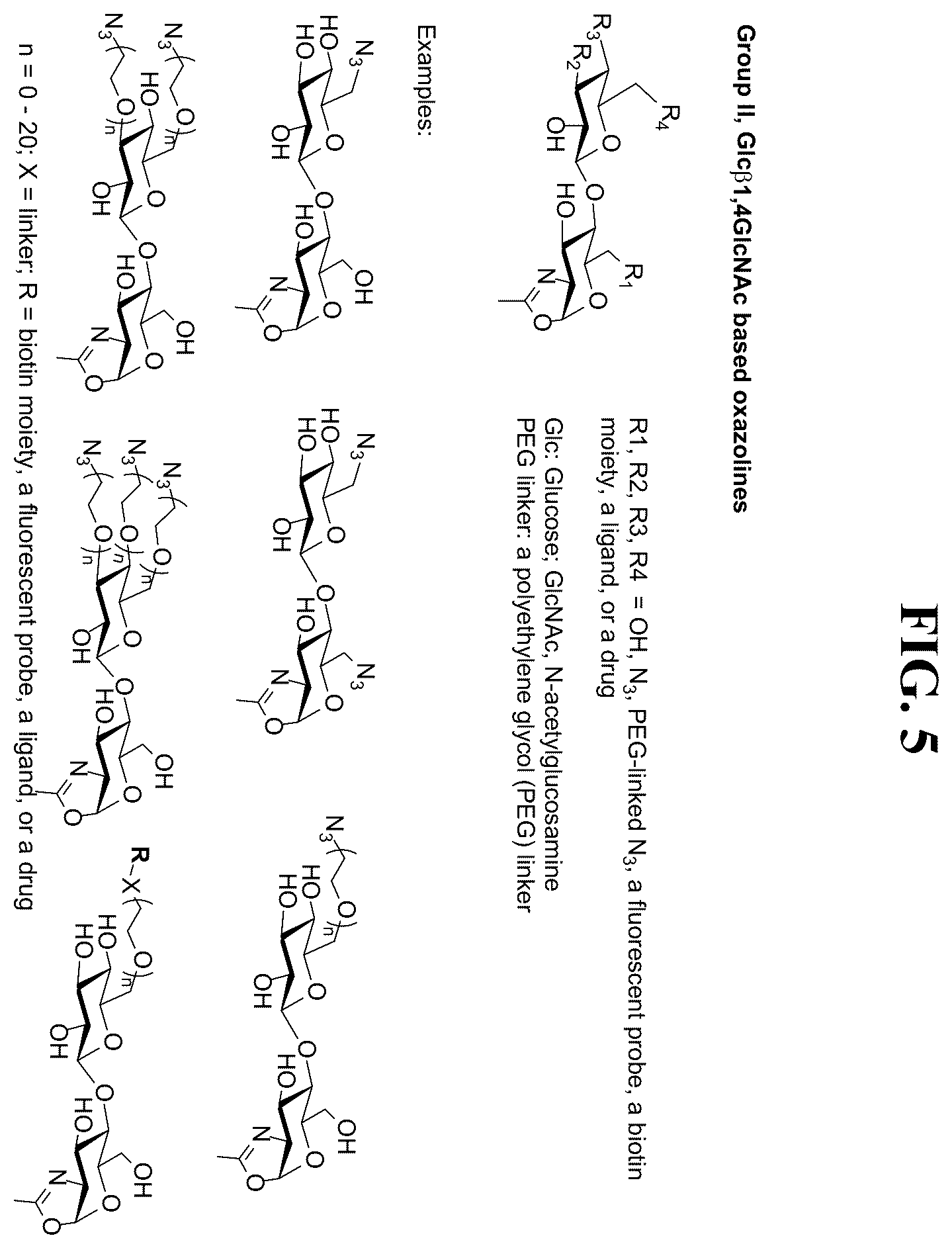 Patent US12139509 Figure 5 – Fc glycan remodeling platform method for site-specific antibody conjugation and applications thereof