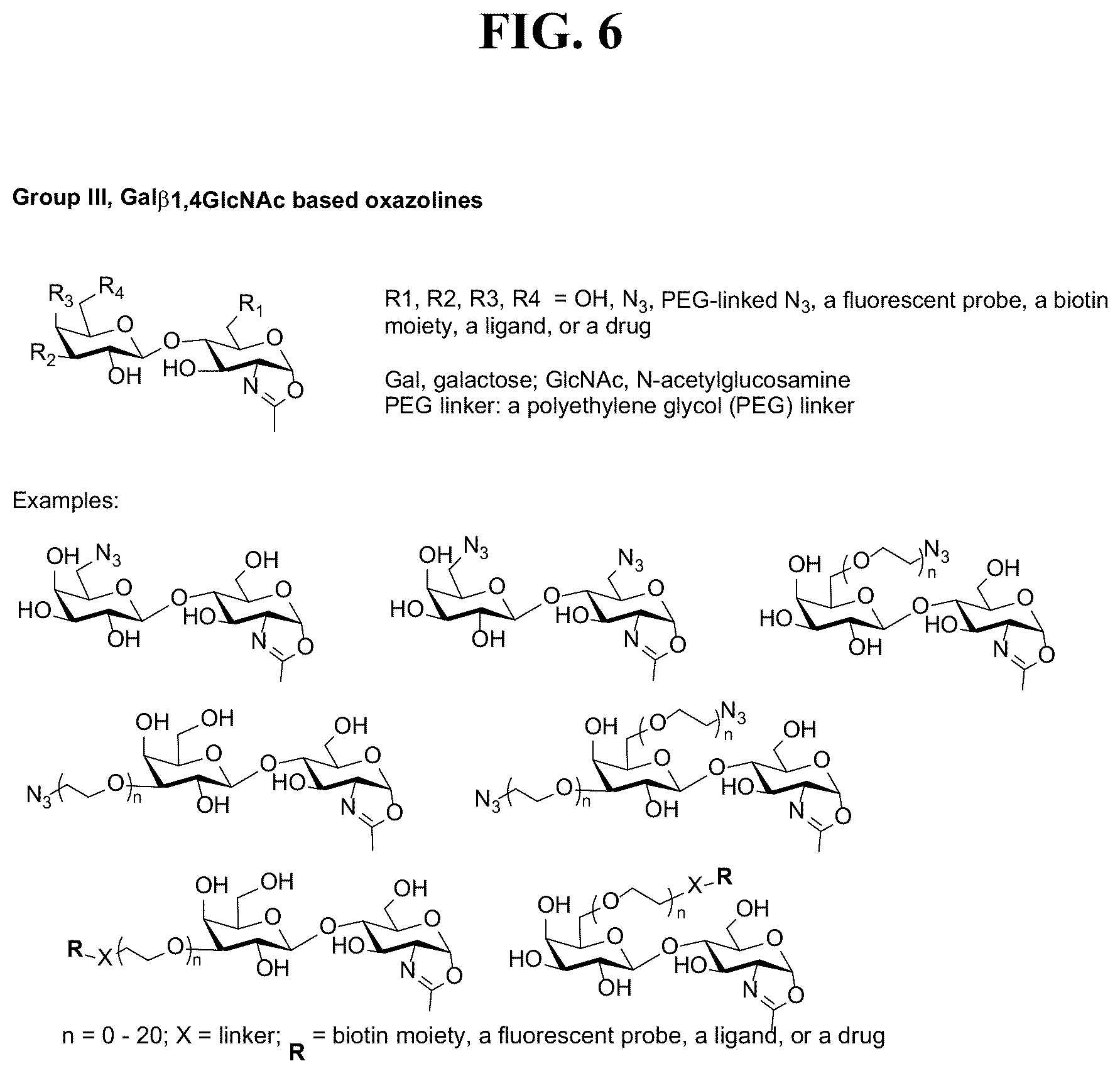 Patent US12139509 Figure 6 – Fc glycan remodeling platform method for site-specific antibody conjugation and applications thereof