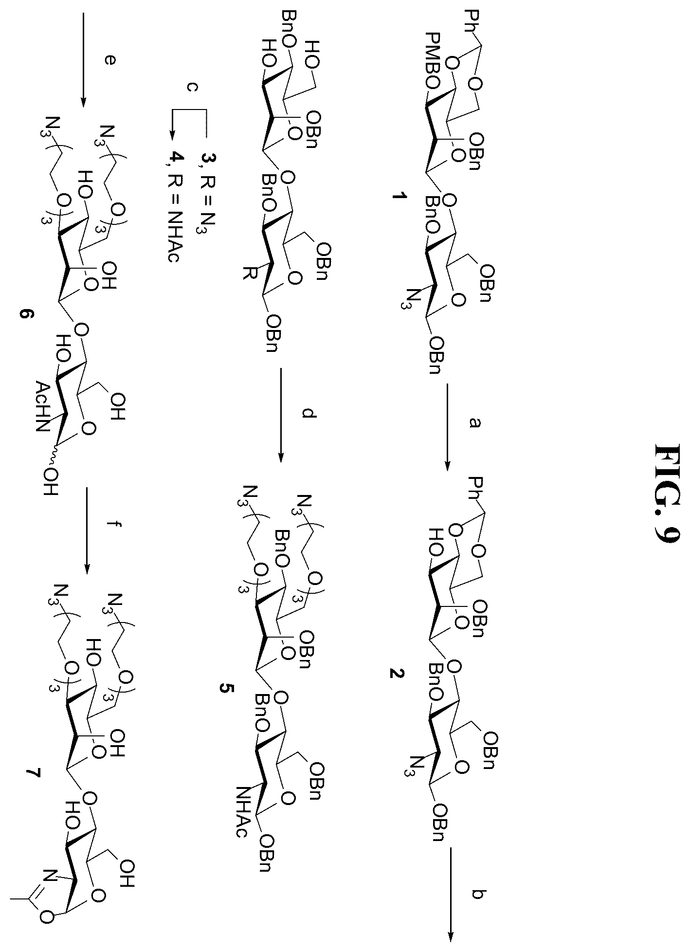 Patent US12139509 Figure 9 – Fc glycan remodeling platform method for site-specific antibody conjugation and applications thereof