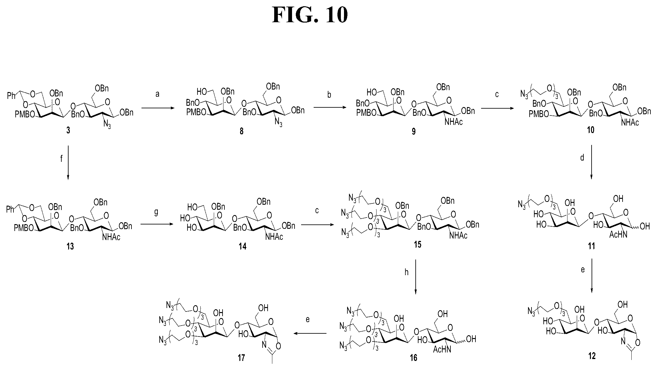 Patent US12139509 Figure 10 – Fc glycan remodeling platform method for site-specific antibody conjugation and applications thereof