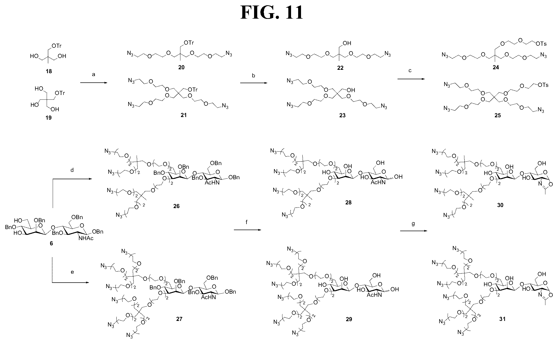Patent US12139509 Figure 11 – Fc glycan remodeling platform method for site-specific antibody conjugation and applications thereof