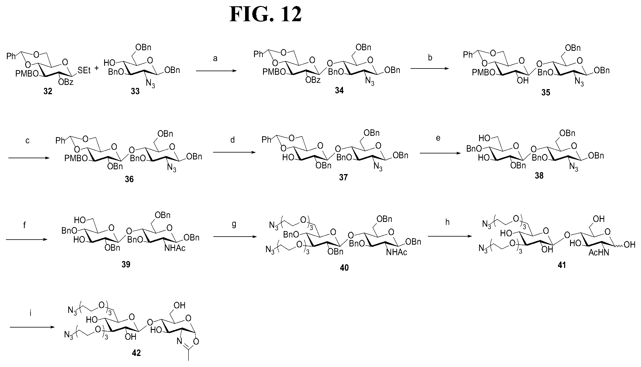 Patent US12139509 Figure 12 – Fc glycan remodeling platform method for site-specific antibody conjugation and applications thereof