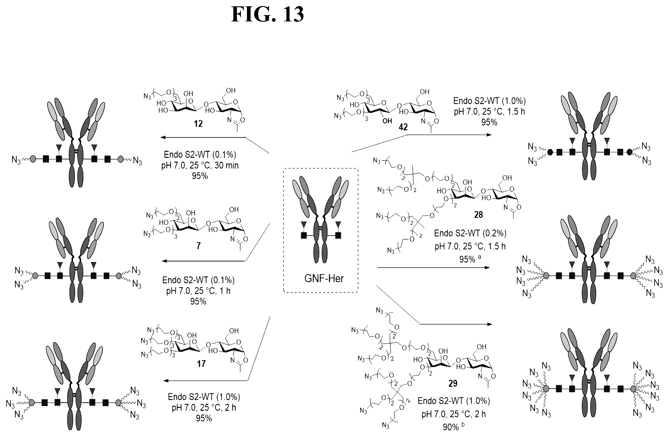 Patent US12139509 Figure 13 – Fc glycan remodeling platform method for site-specific antibody conjugation and applications thereof