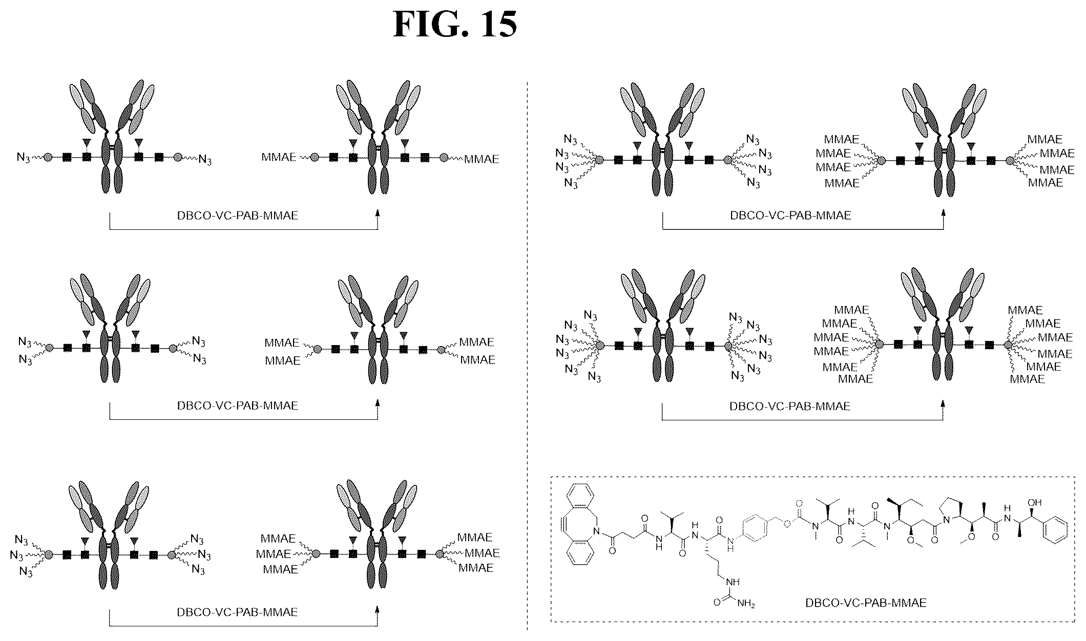 Patent US12139509 Figure 15 – Fc glycan remodeling platform method for site-specific antibody conjugation and applications thereof